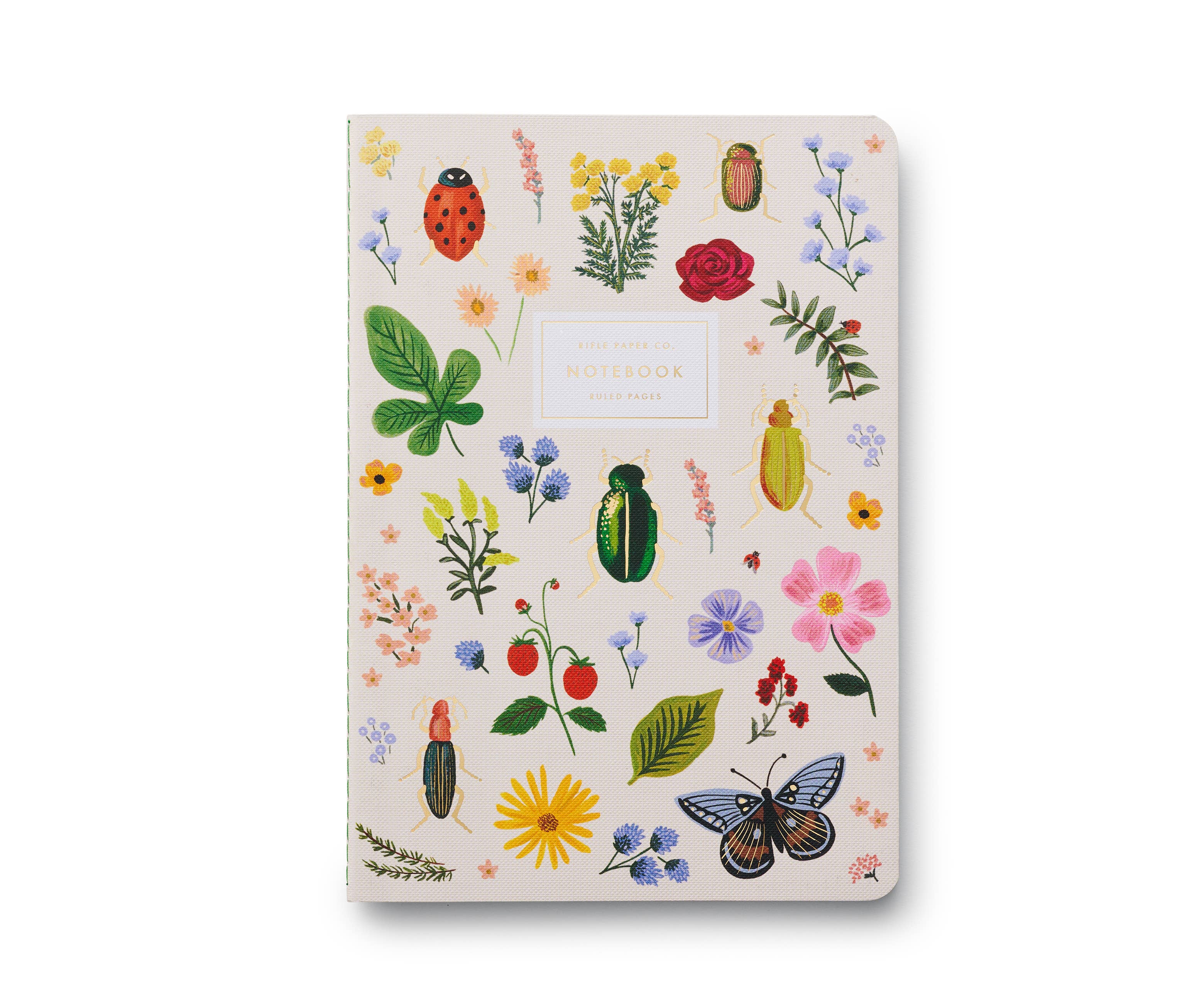 Curio Assorted Set of 3 Notebooks