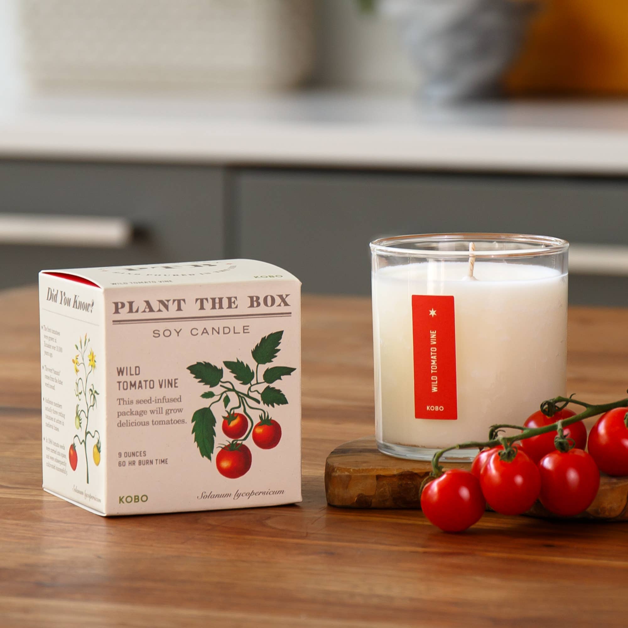 Wild Tomato Vine Plant the Box Candle