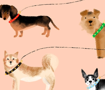 Out For a Walk Birthday Card