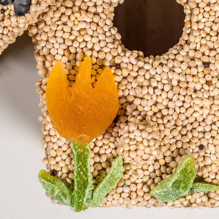 Spring Fruit Cottage Bird Feeder