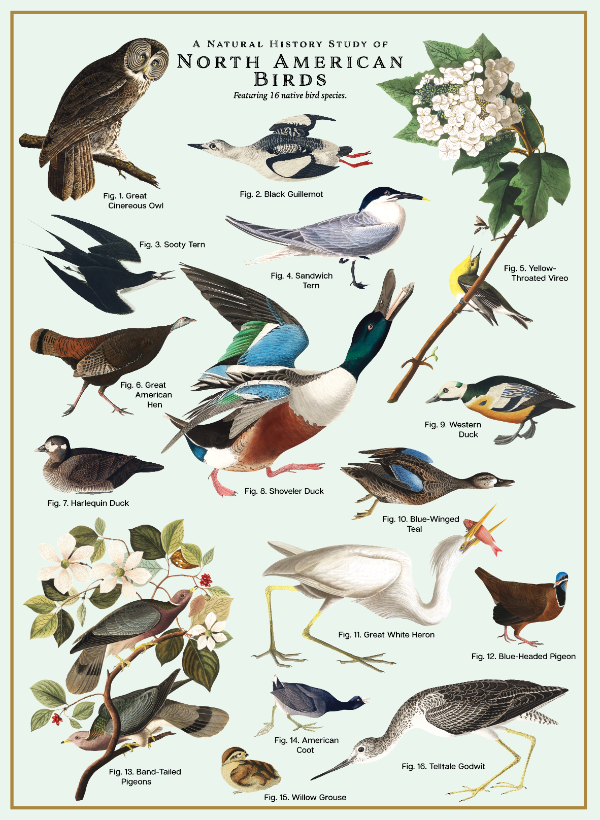 Birds 500 Pieces Vintage Puzzle