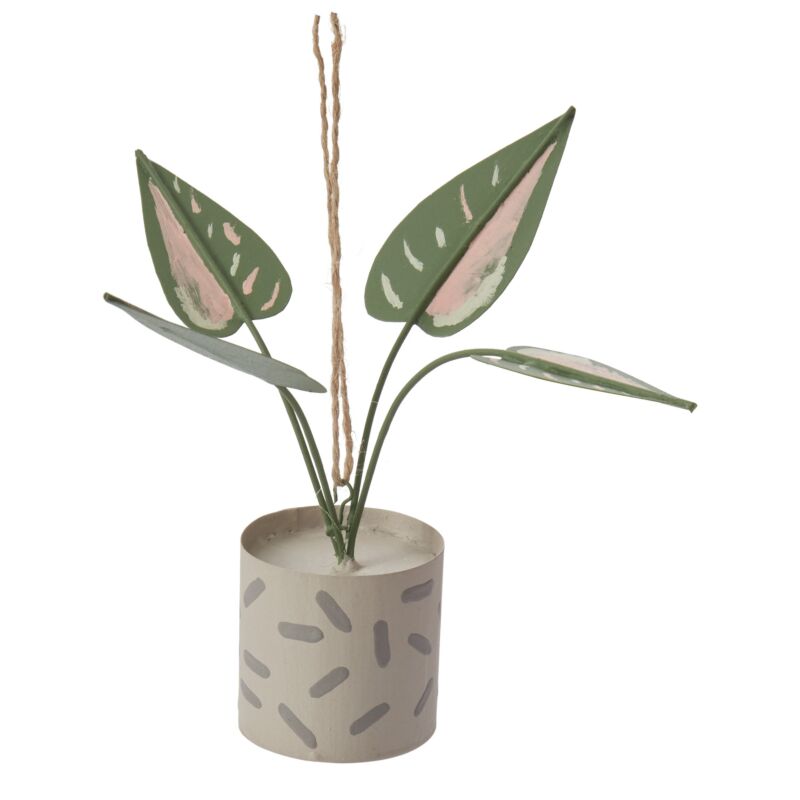 Prized Plant Ornament