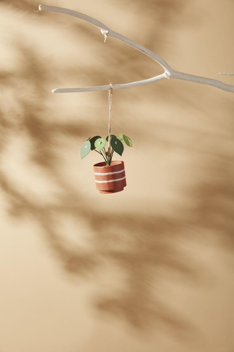 Prized Plant Ornament