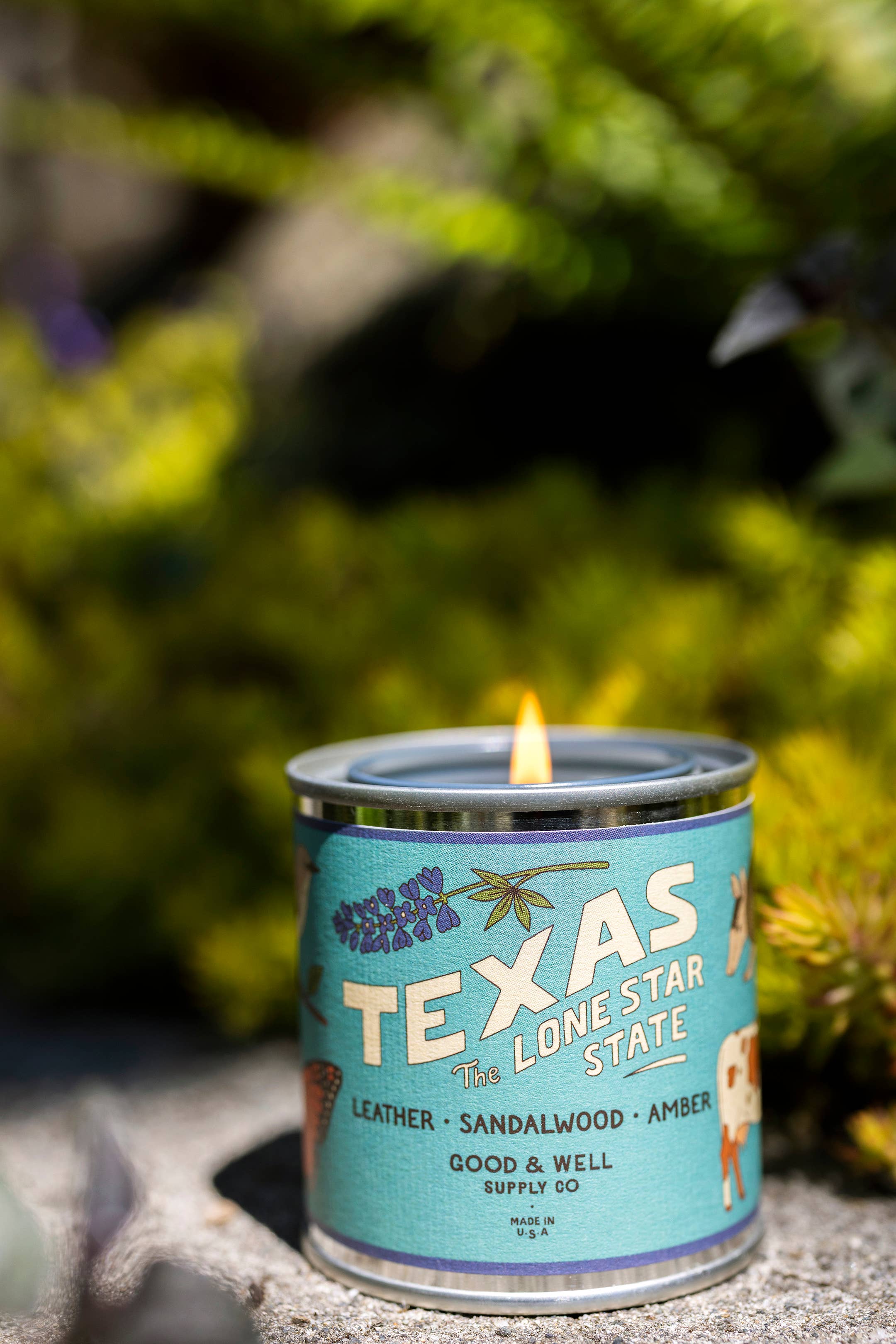 Texas State Soy Candle