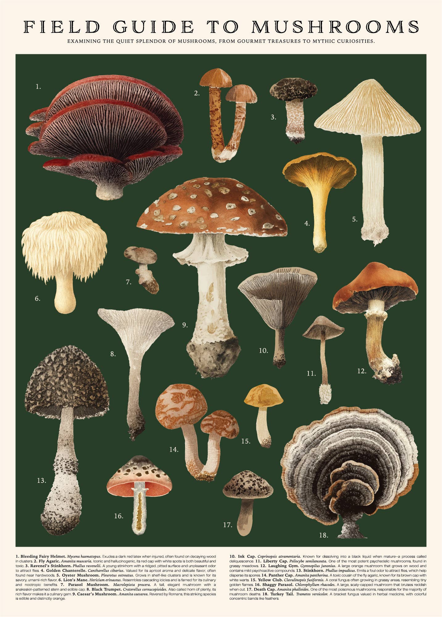 Mushrooms 500 Piece Vintage Puzzle