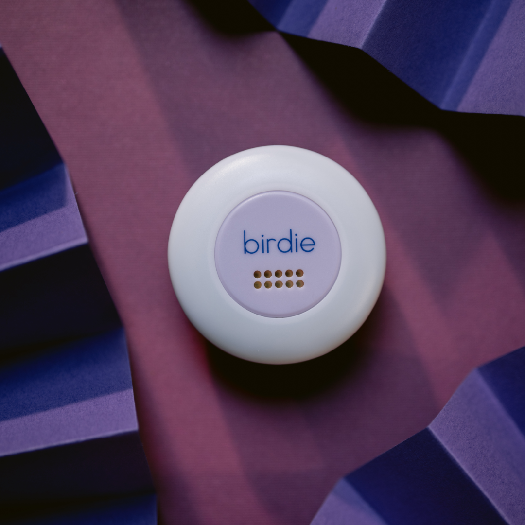 Birdie Safety Disc