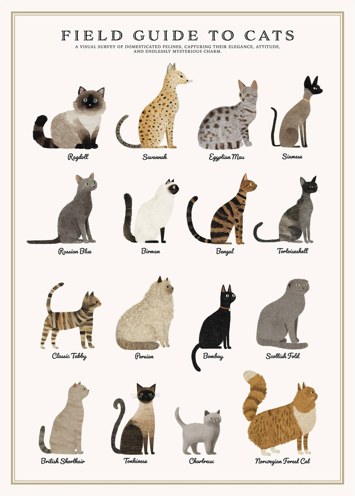 Cats 500 Piece Vintage Puzzle