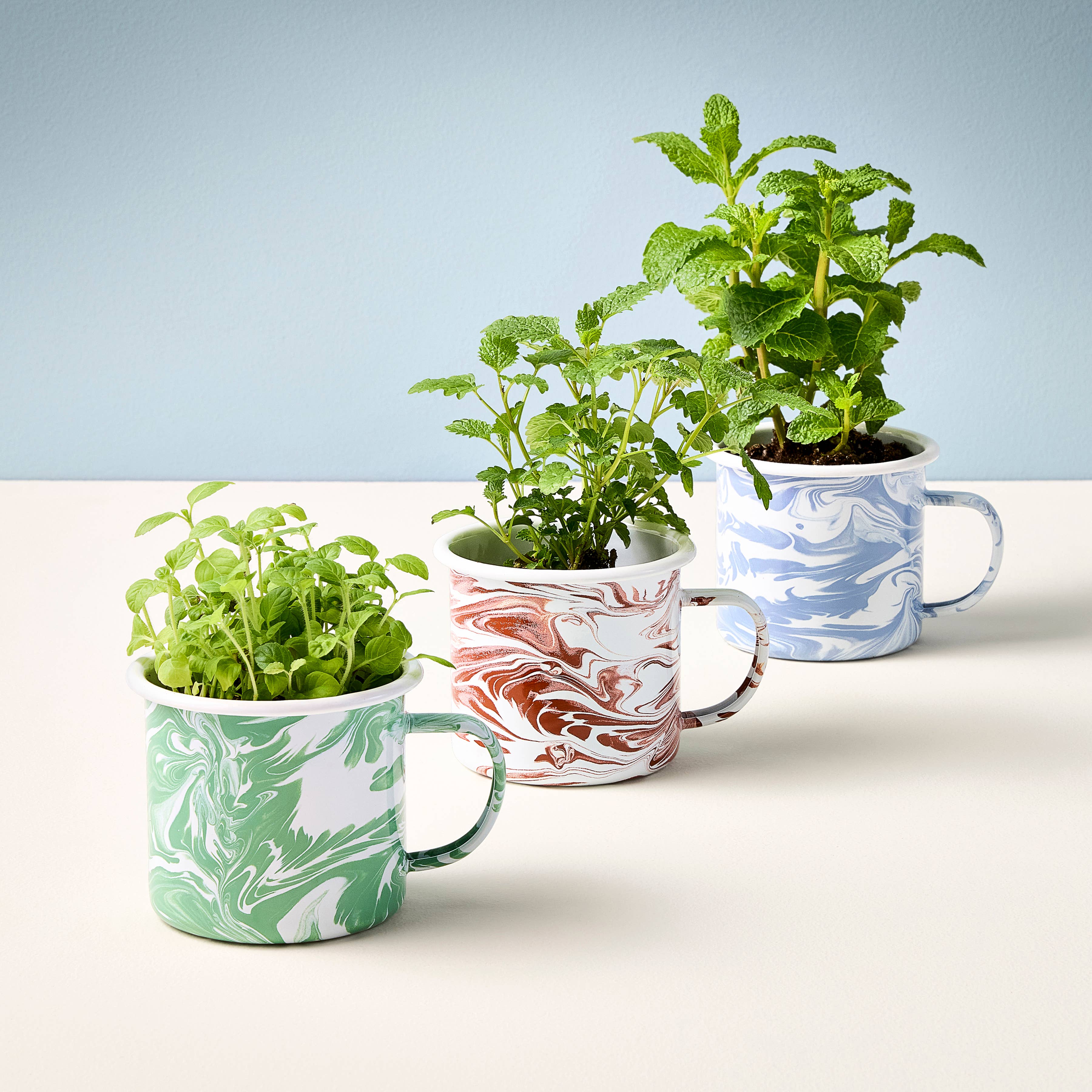 Nearly Nirvana Holy Basil Mug Grow Kit