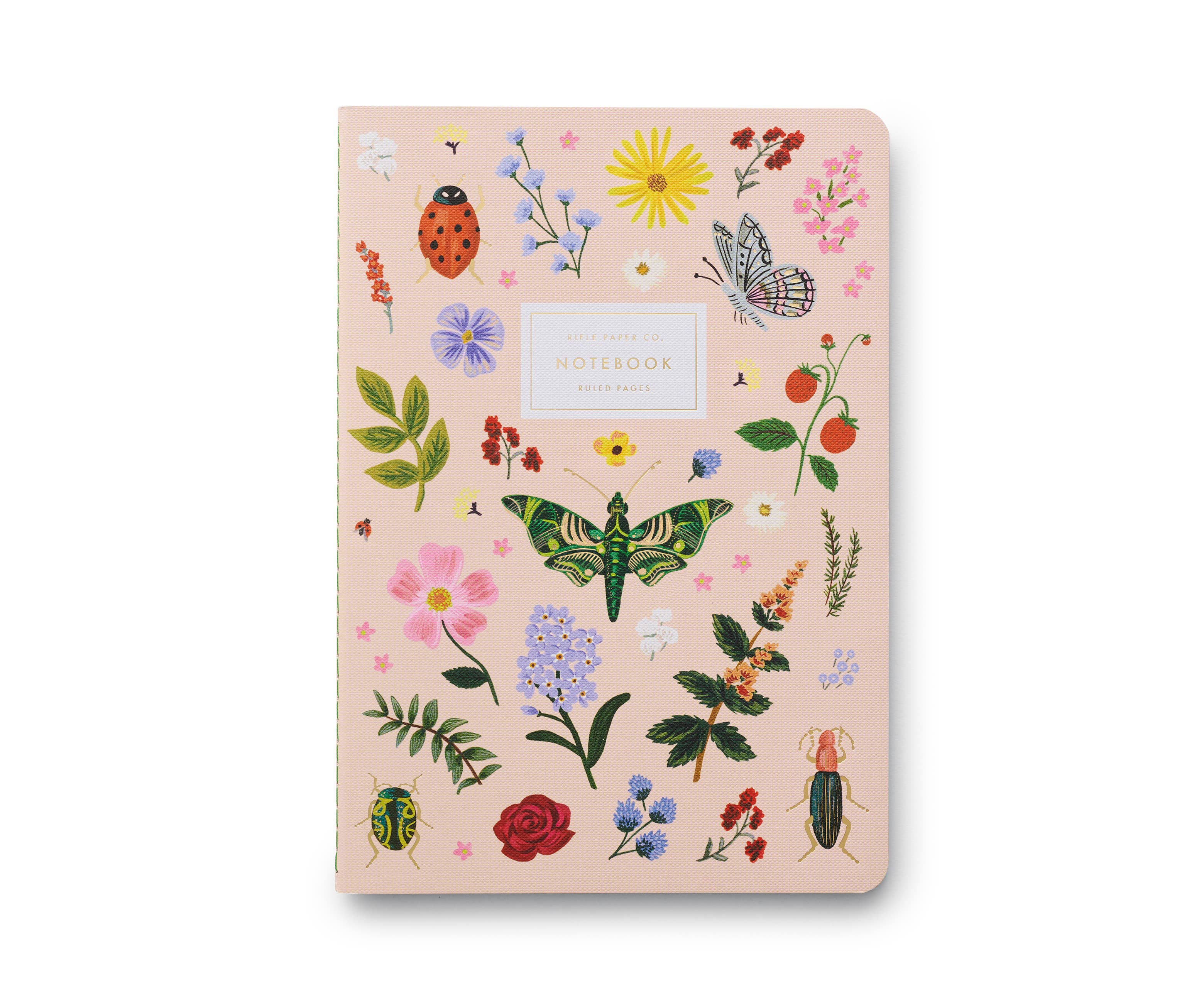 Curio Assorted Set of 3 Notebooks