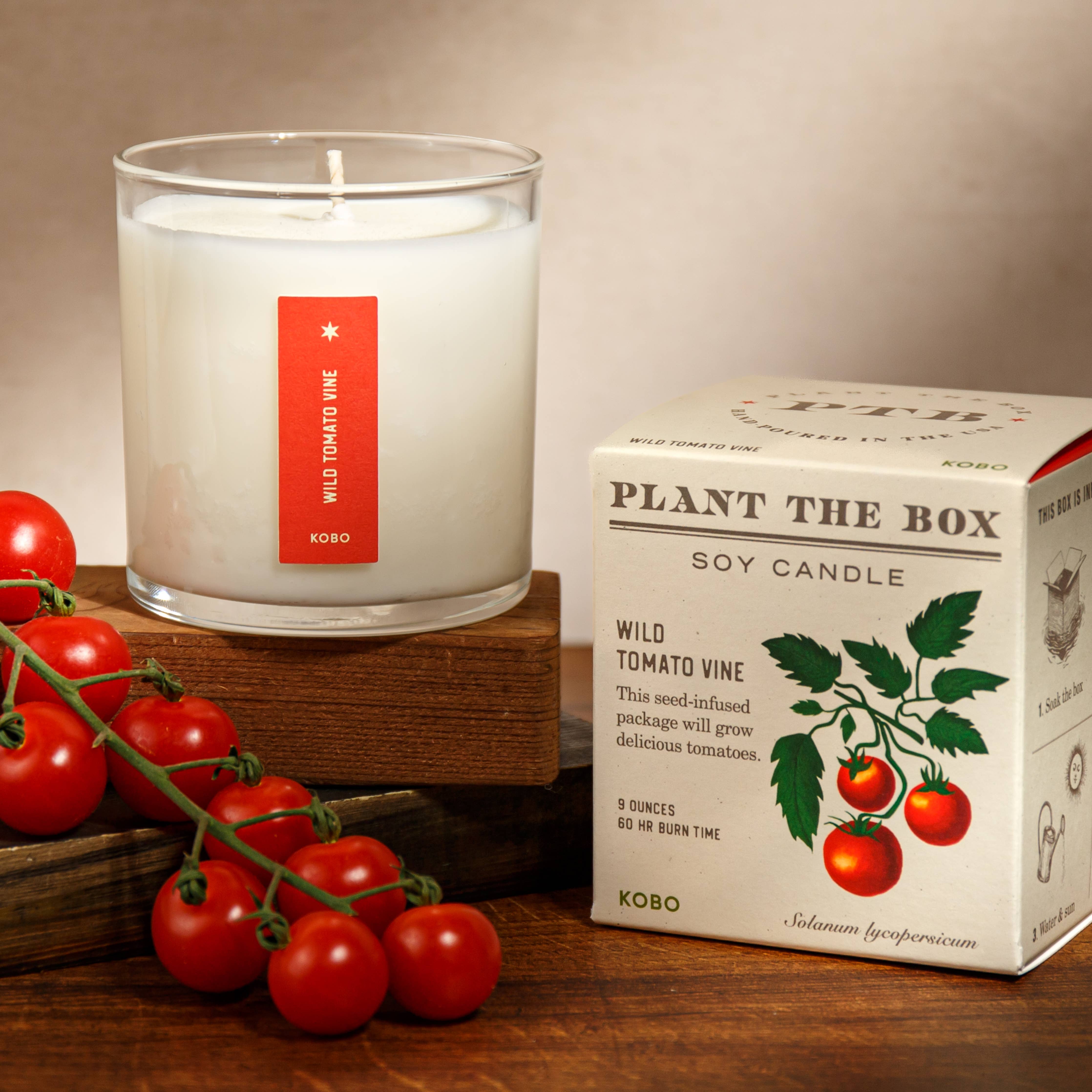 Wild Tomato Vine Plant the Box Candle