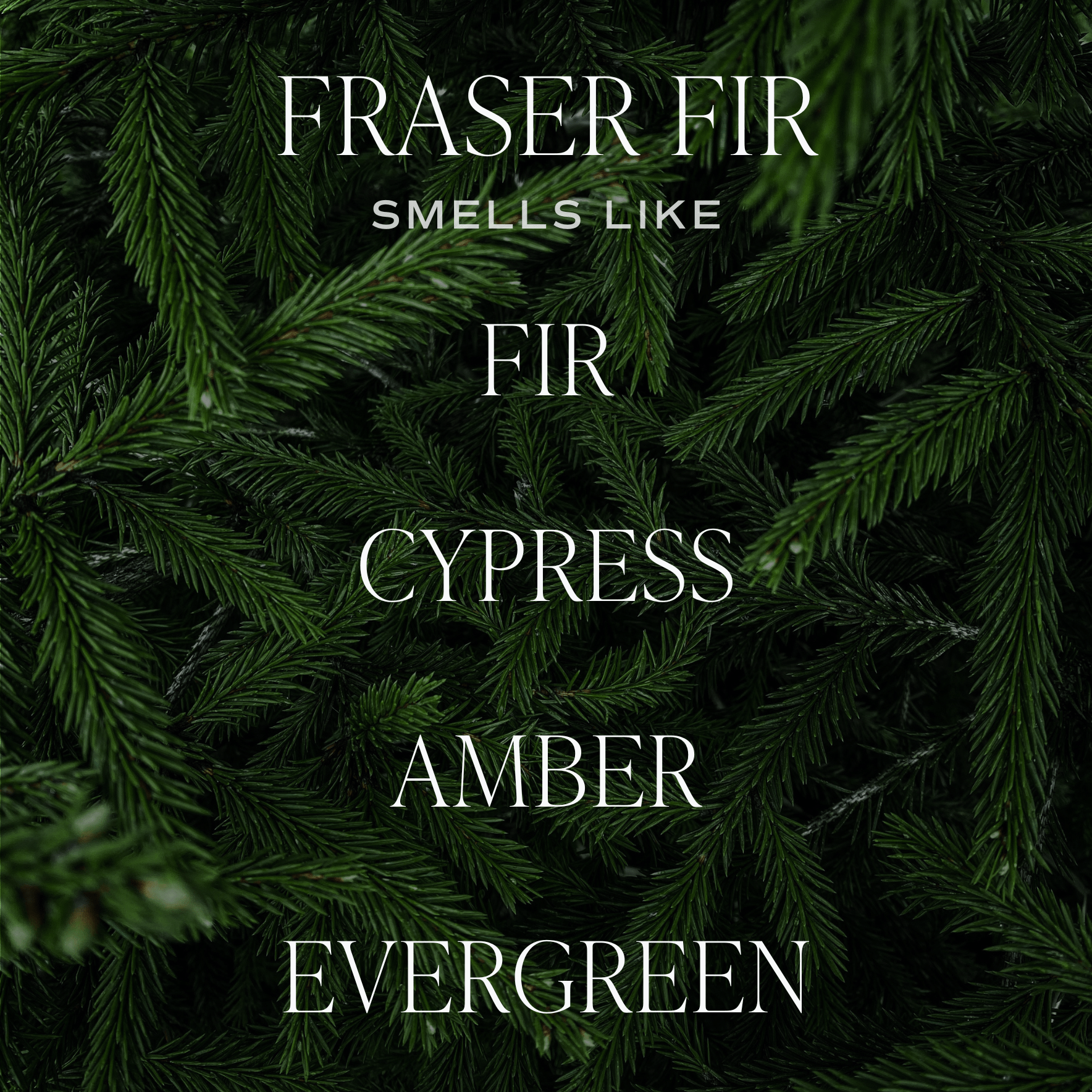 Fraser Fir Glass Candle