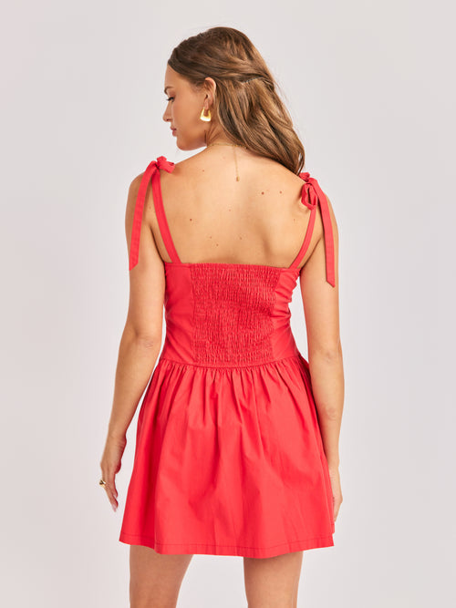 Canyon Pinktuck Mini Dress