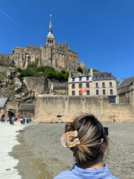 Lucky Horseshoe Hair Clip