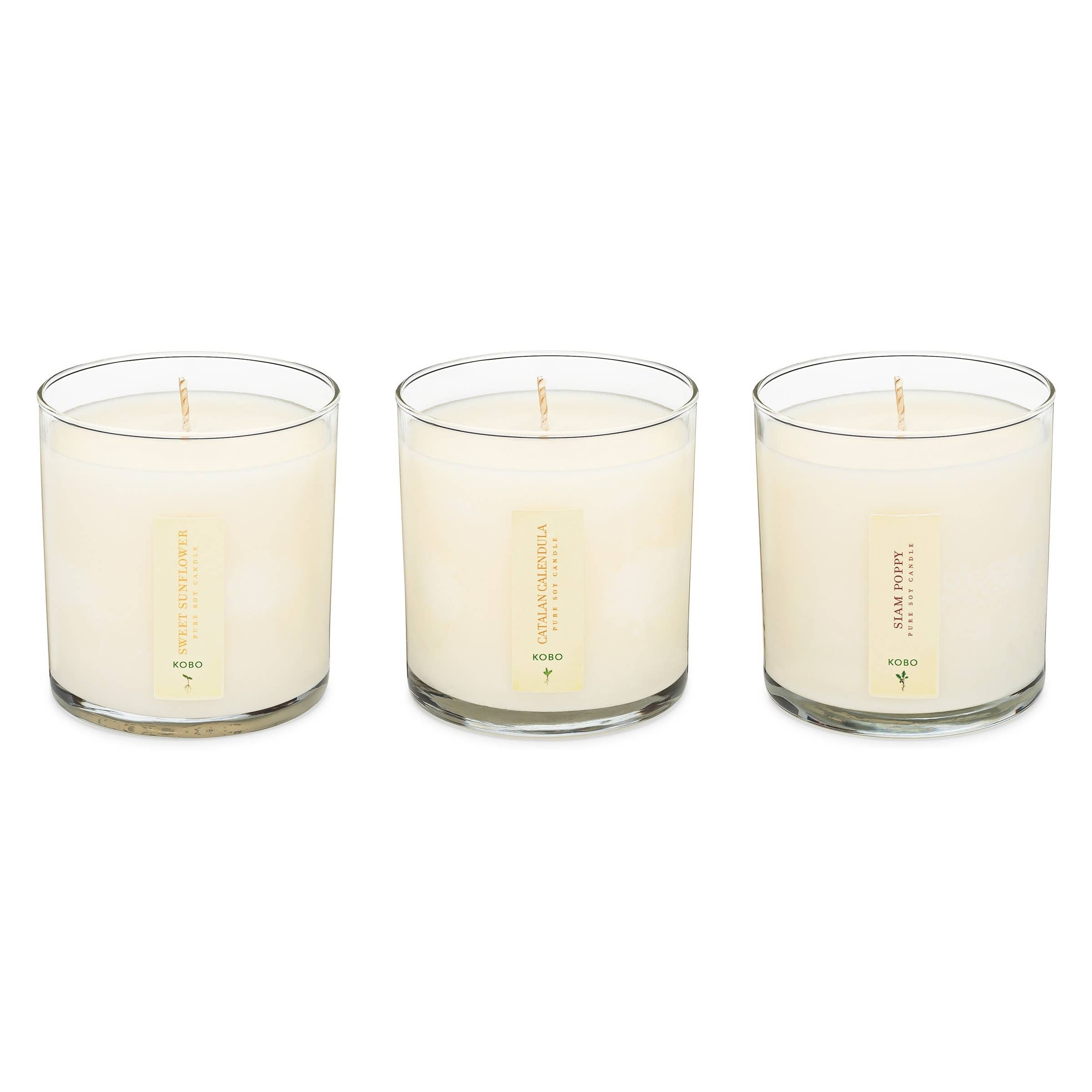 Floral Bouquet Plant the Box Votive Candle Trio