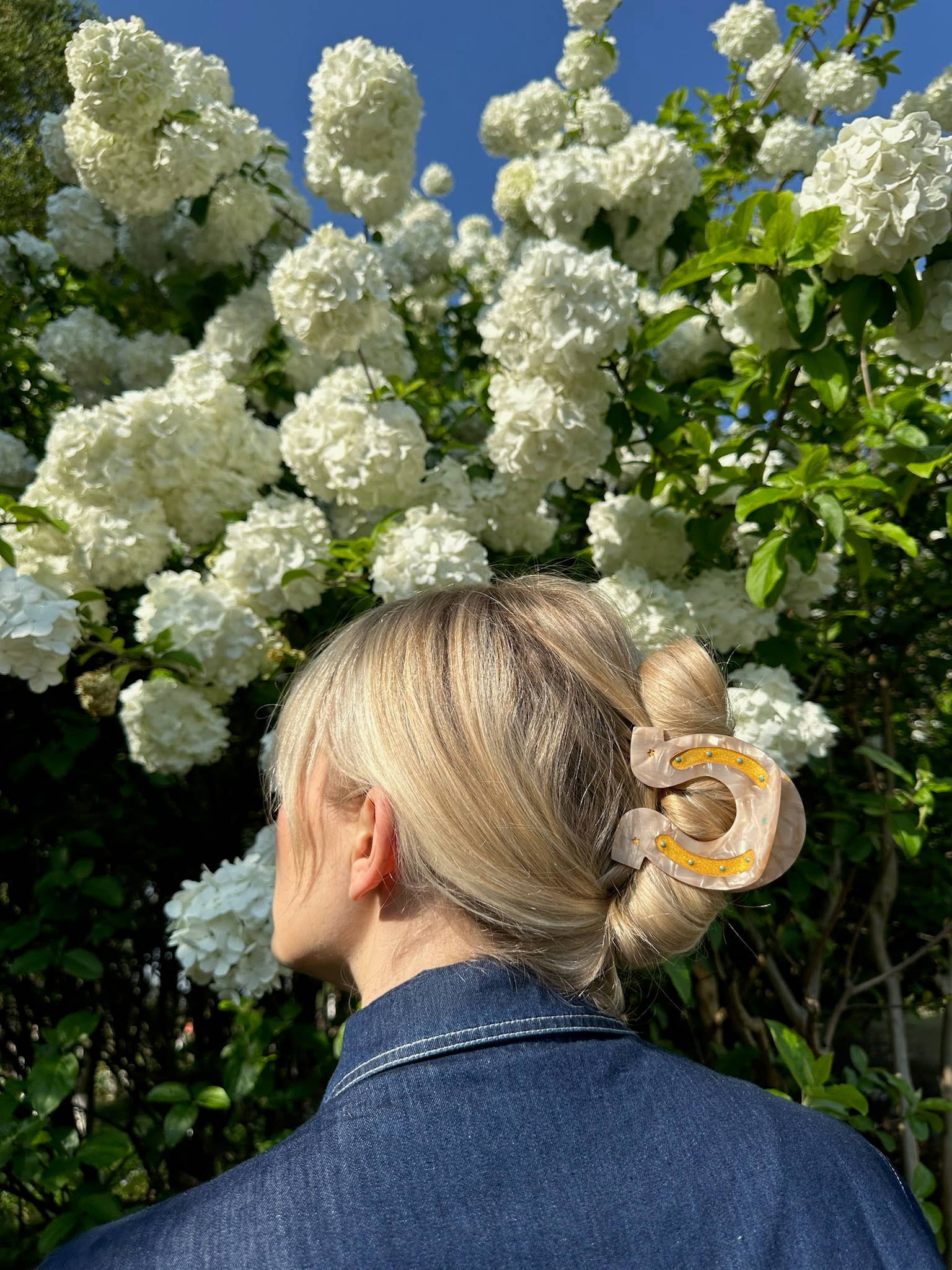 Lucky Horseshoe Hair Clip