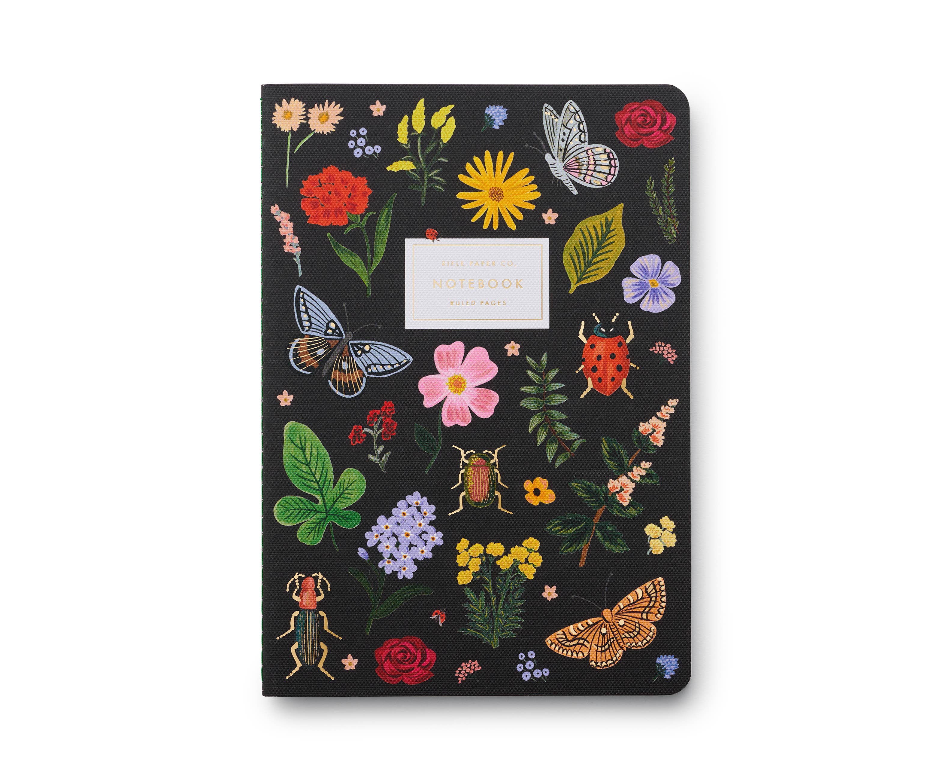 Curio Assorted Set of 3 Notebooks