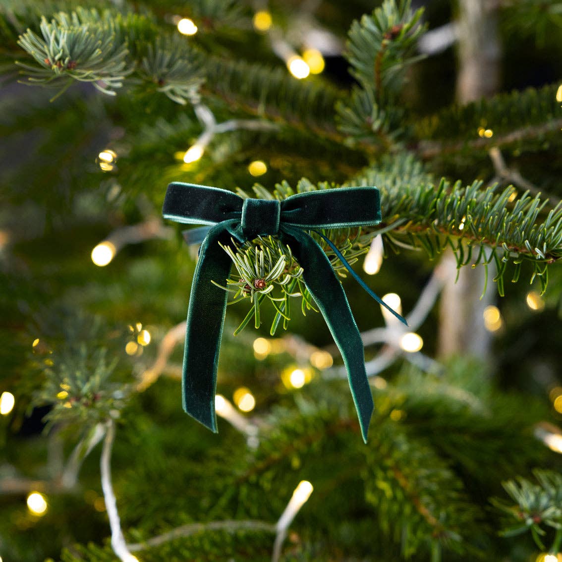 Dark green velvet ribbon bow with long tails on a Christmas tree branch