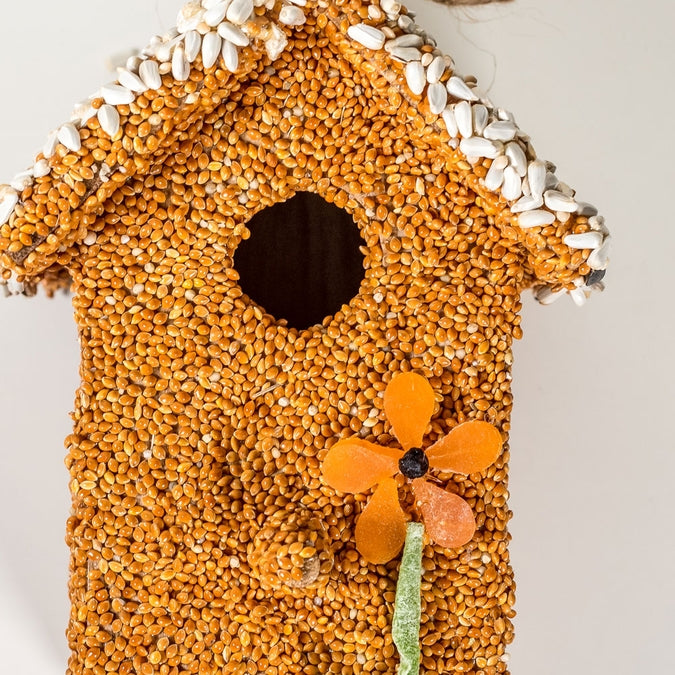 Spring Fruit Cottage Bird Feeder