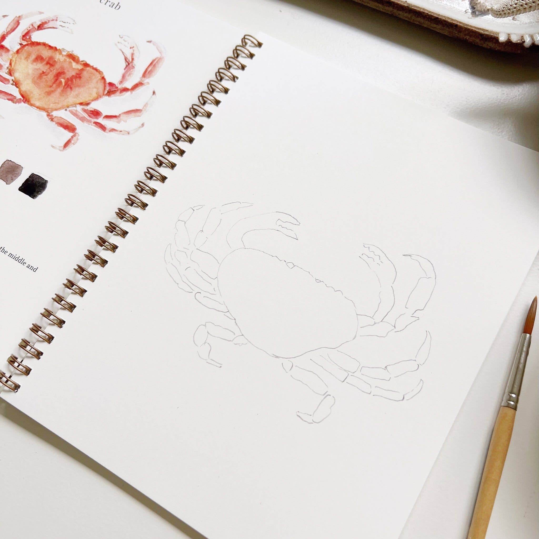 Seaside Watercolor Workbook