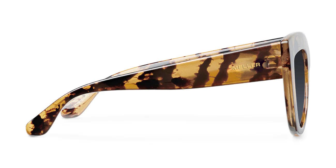 Karoo - Tigris Carbon