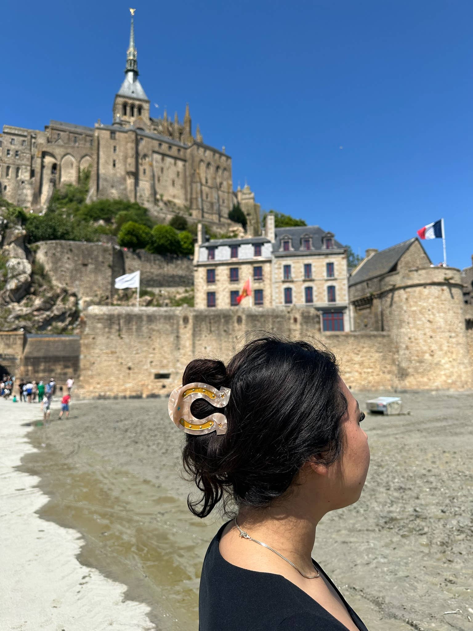 Lucky Horseshoe Hair Clip