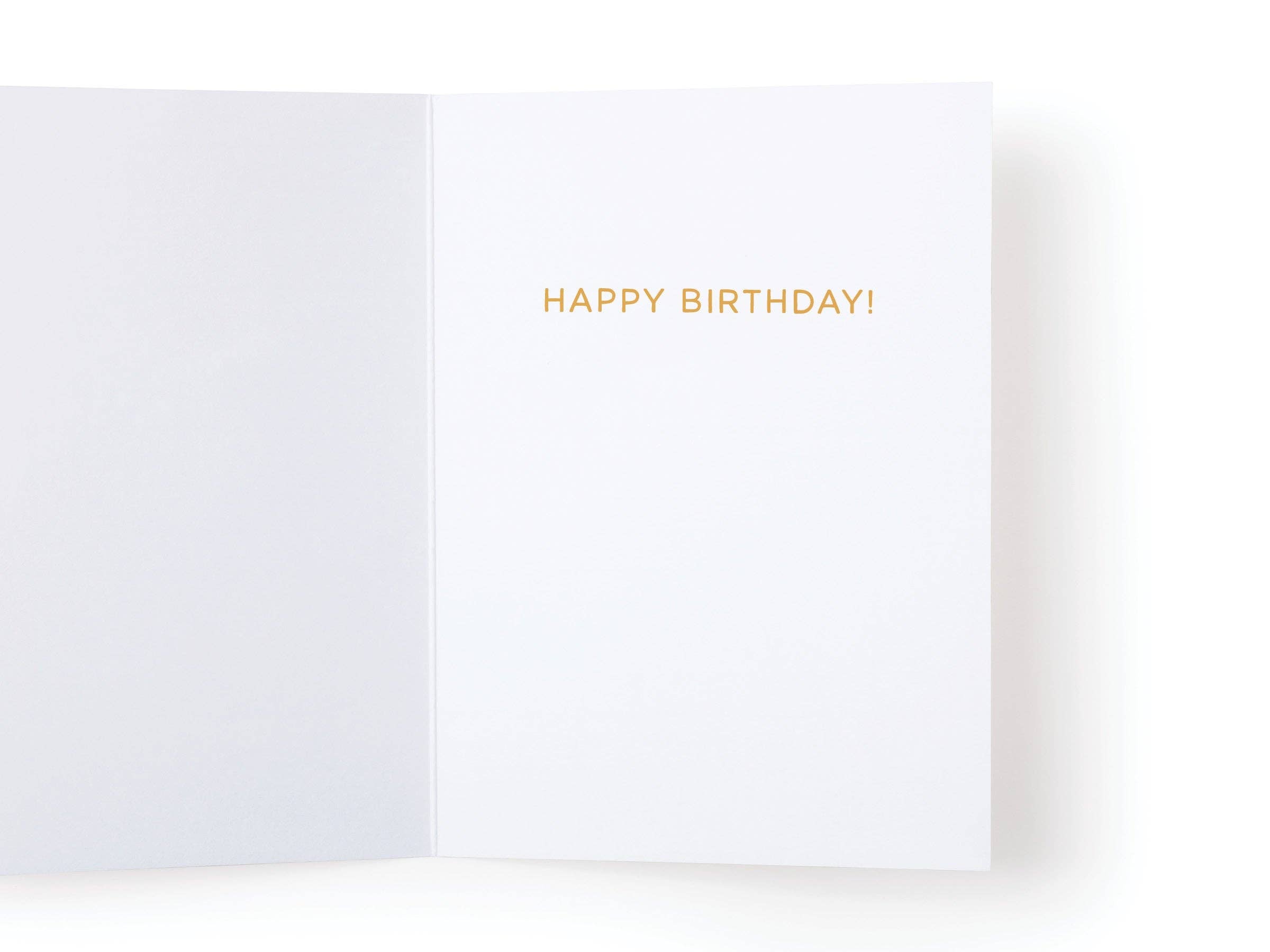 Older Not Wiser Birthday Greeting Card