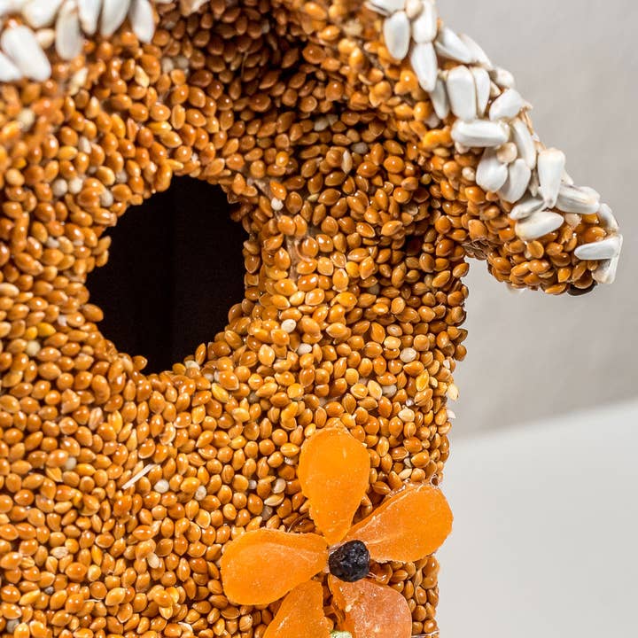 Spring Fruit Cottage Bird Feeder