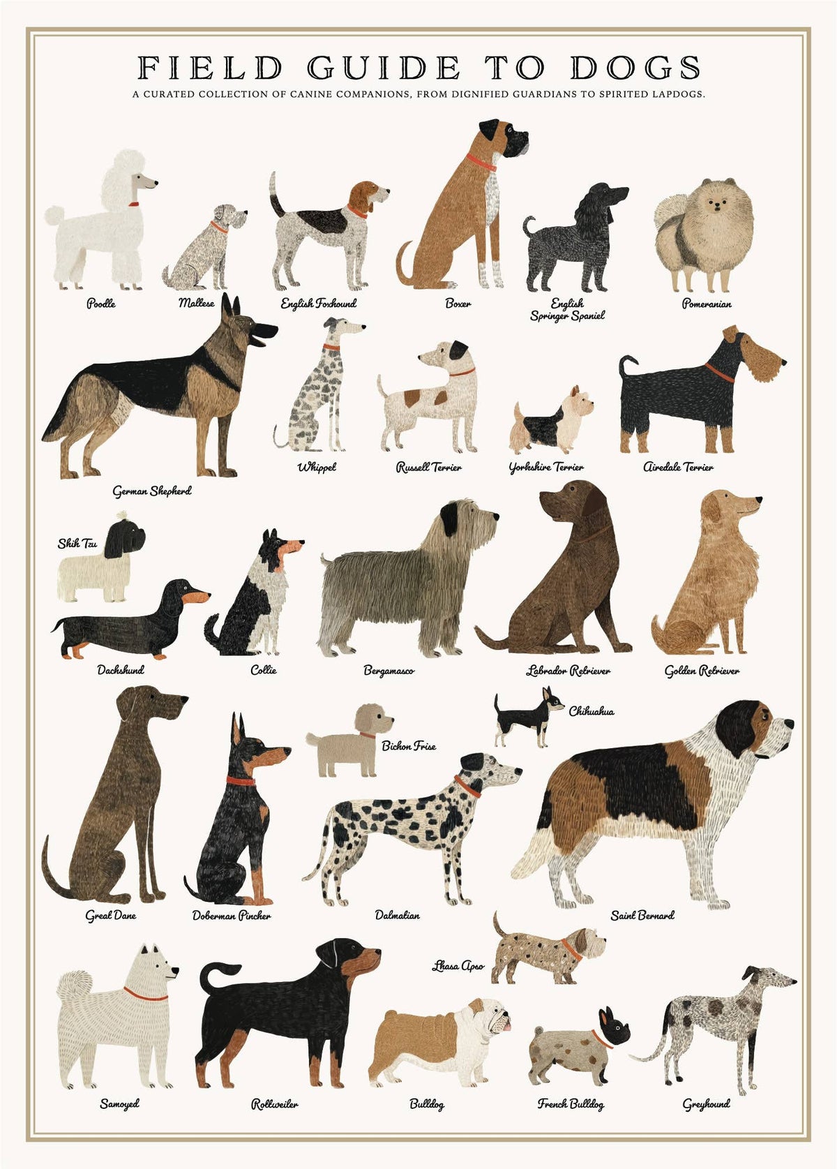 Dogs 500 Piece Vintage Puzzle