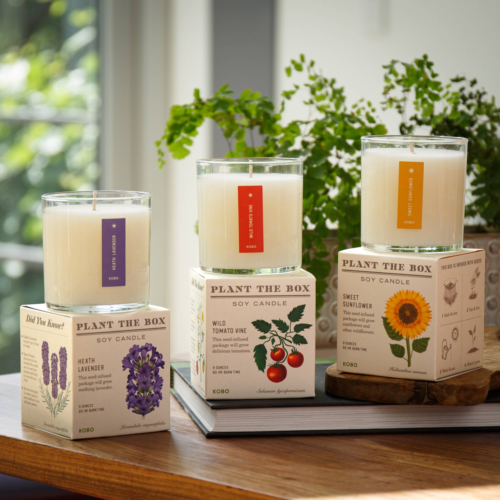 Heath Lavender Plant the Box Candle
