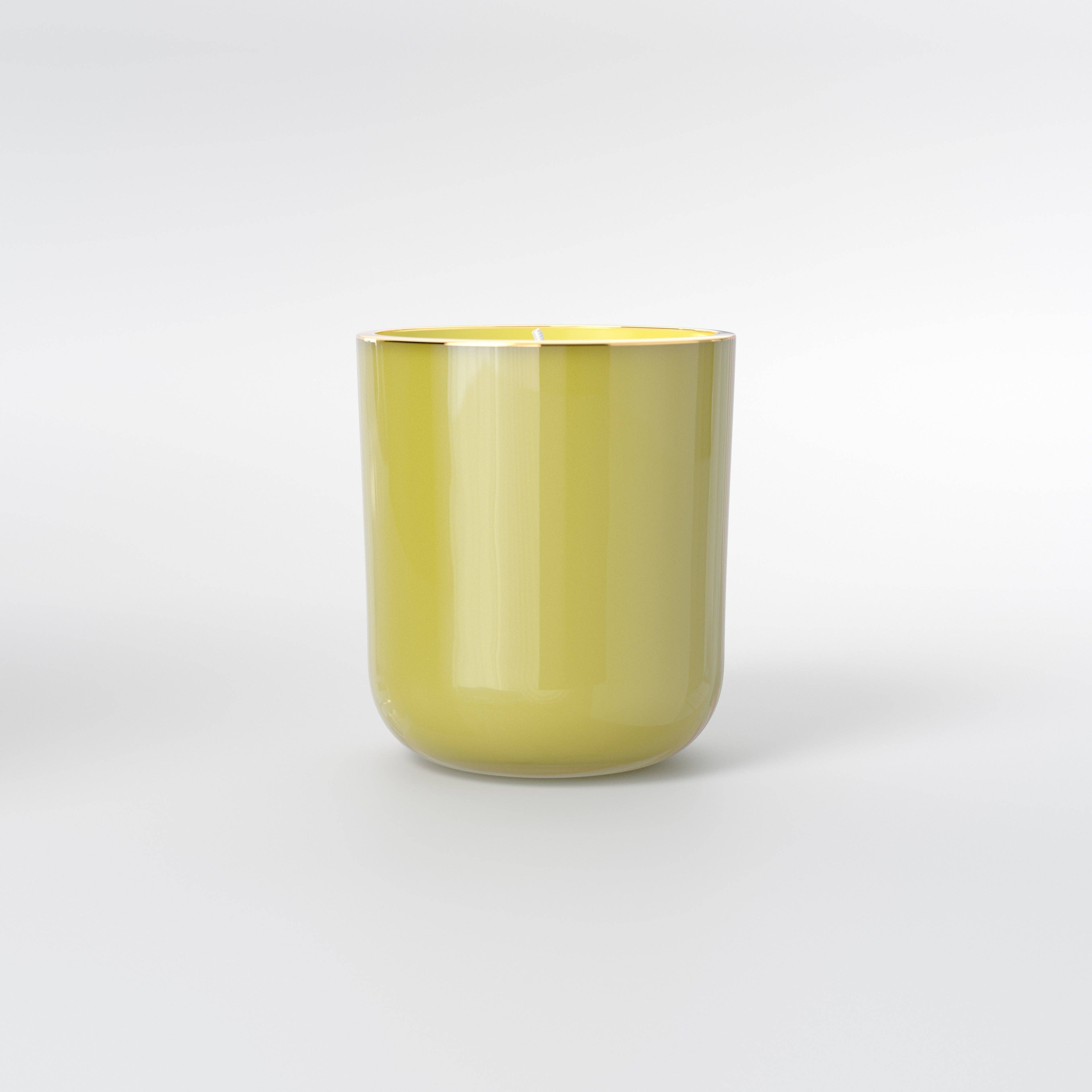 Lost Jungle Glass Candle