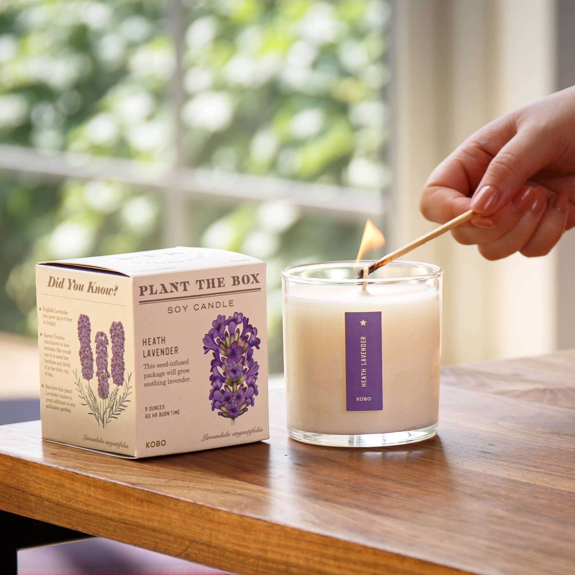 Heath Lavender Plant the Box Candle