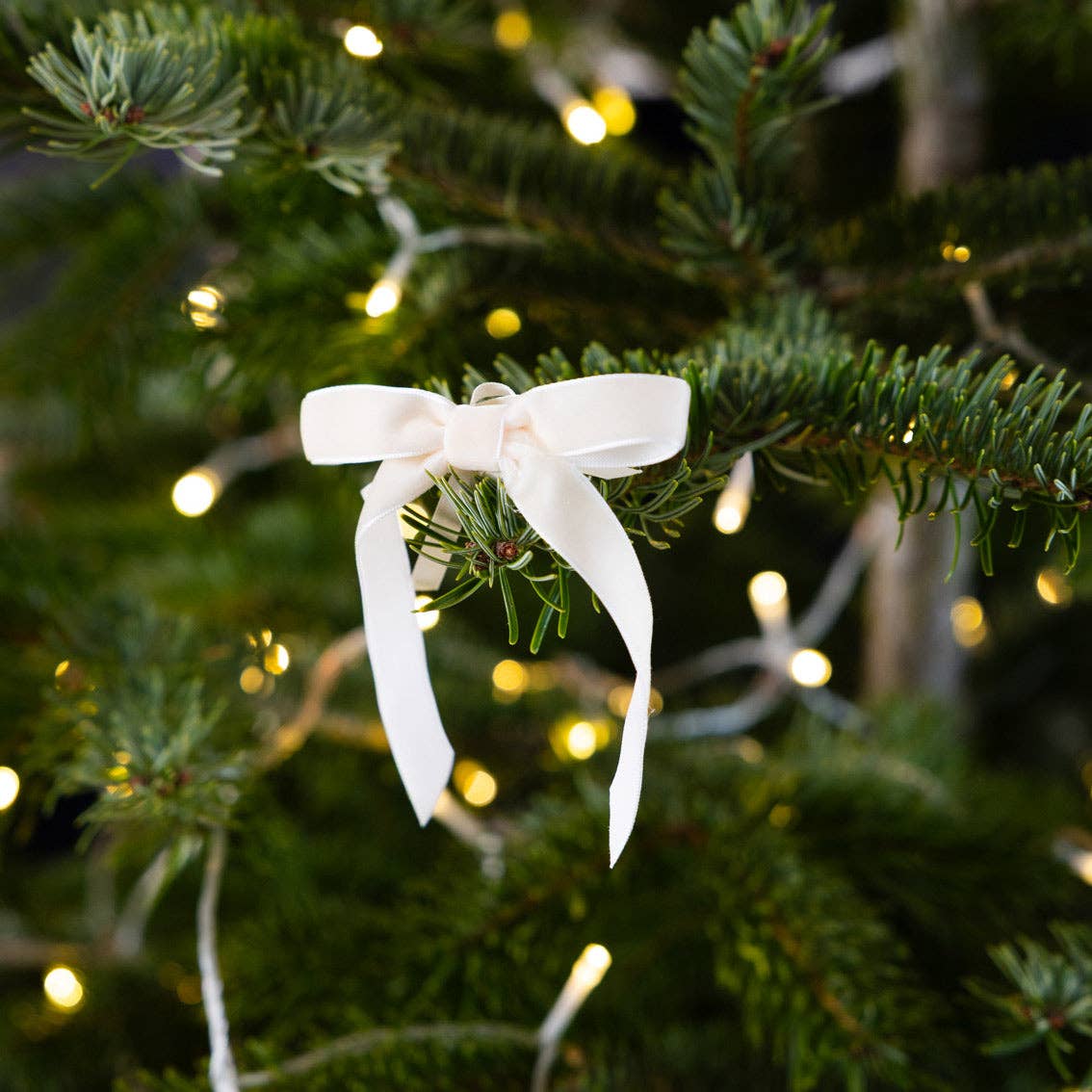 Cream velvet ribbon bow with long tails on a Christmas tree branch