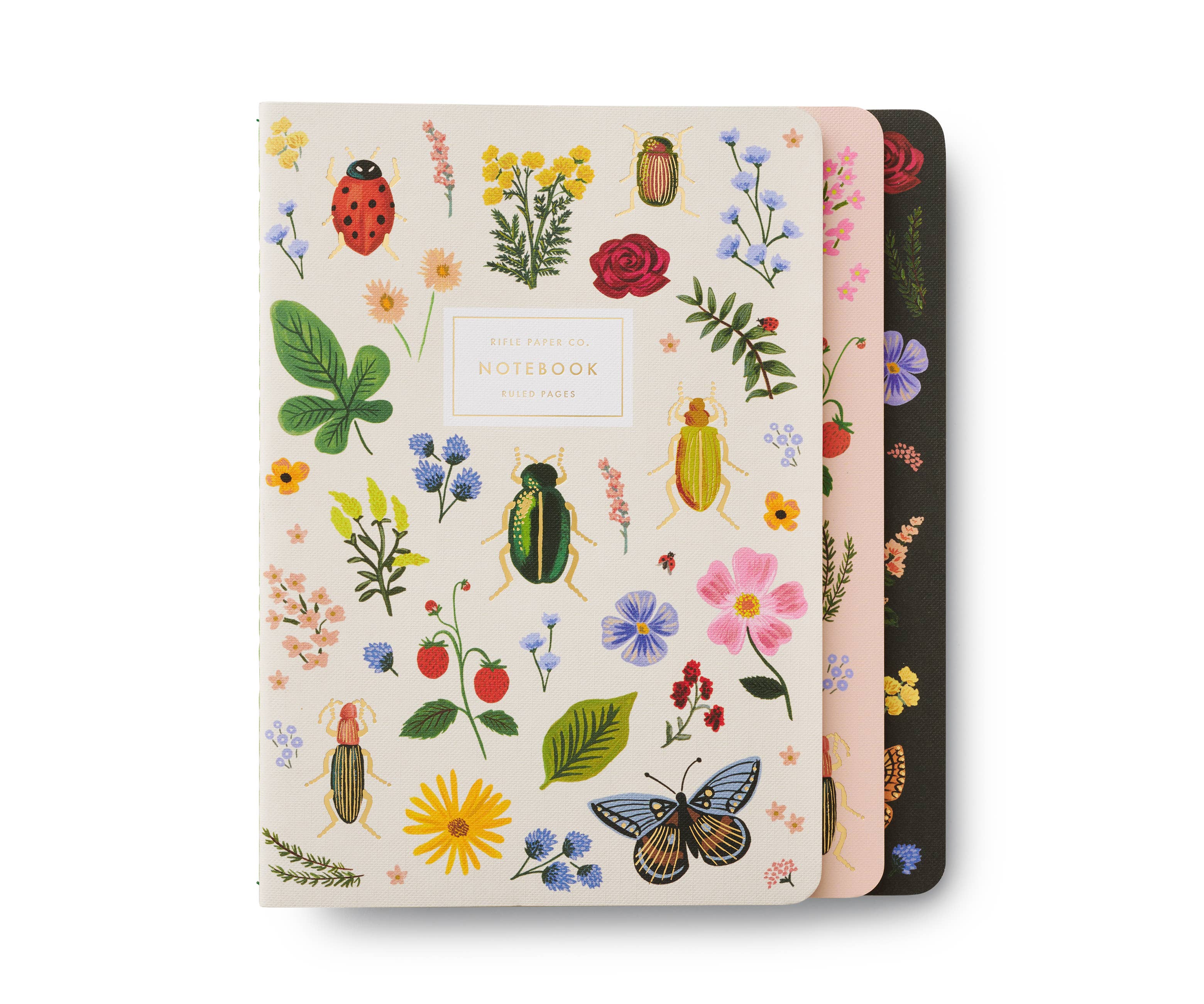 Curio Assorted Set of 3 Notebooks