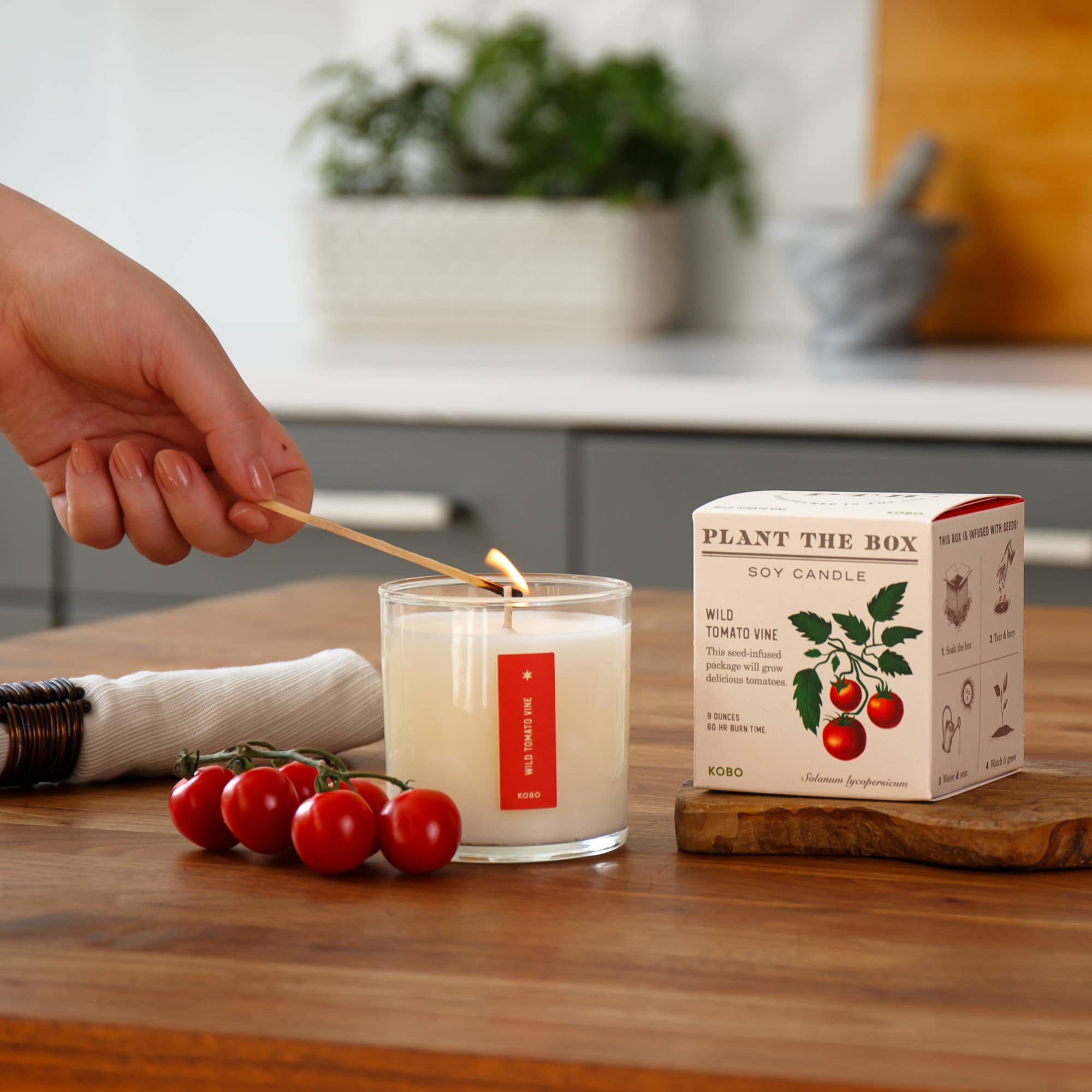 Wild Tomato Vine Plant the Box Candle