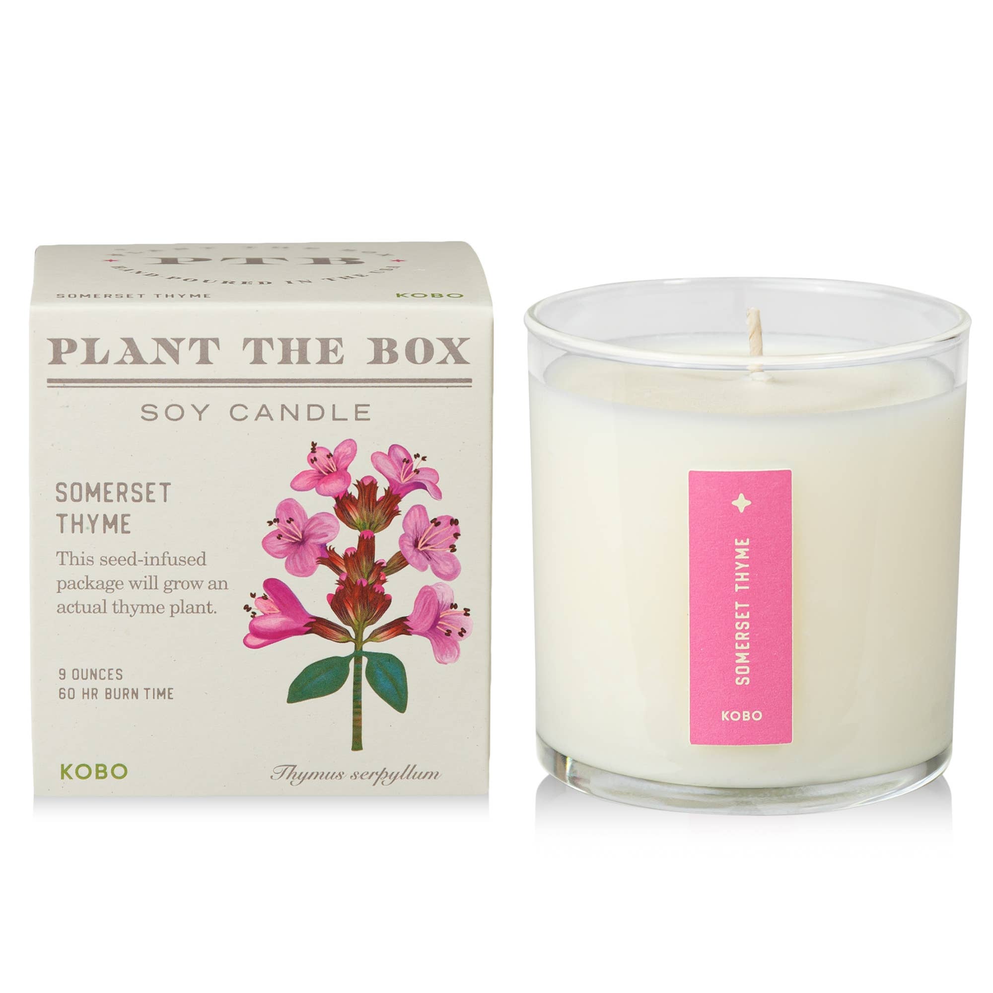 Somerset Thyme Plant the Box Candle