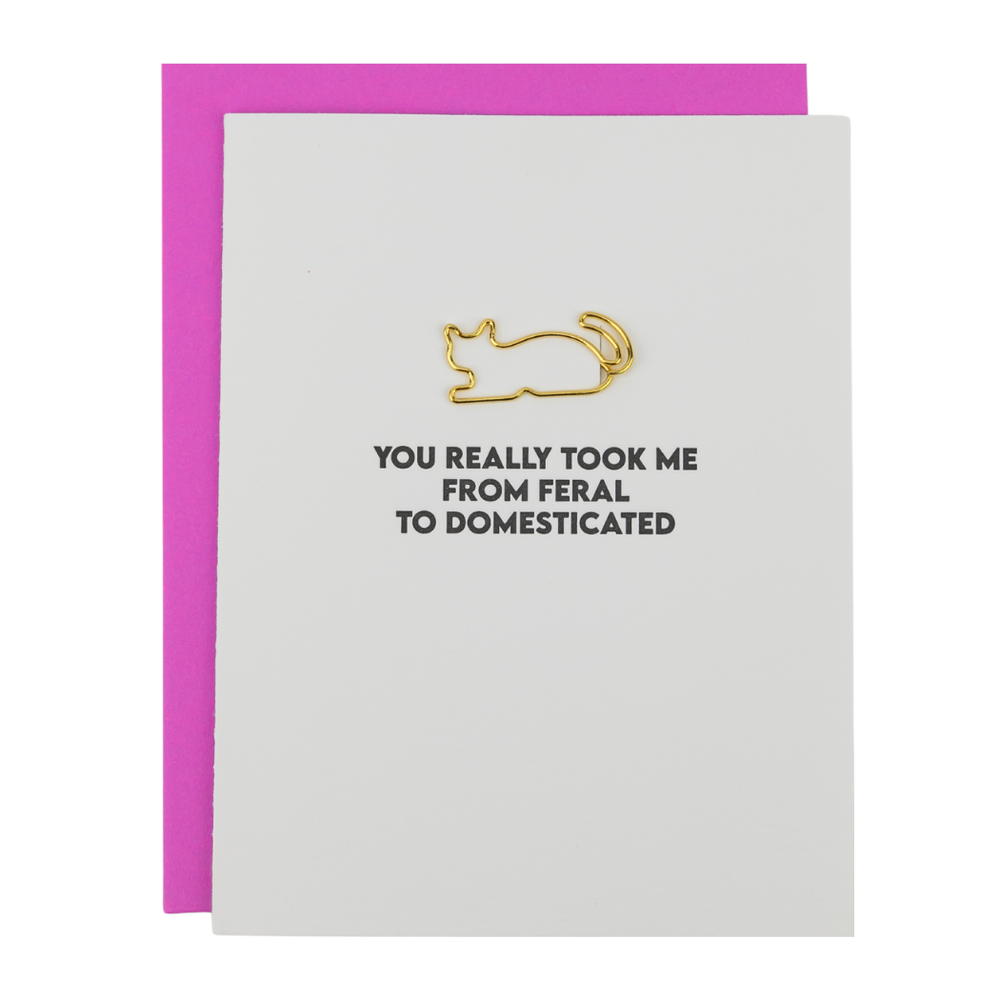 You Took Me From Feral To Domesticated Paper Clip Card