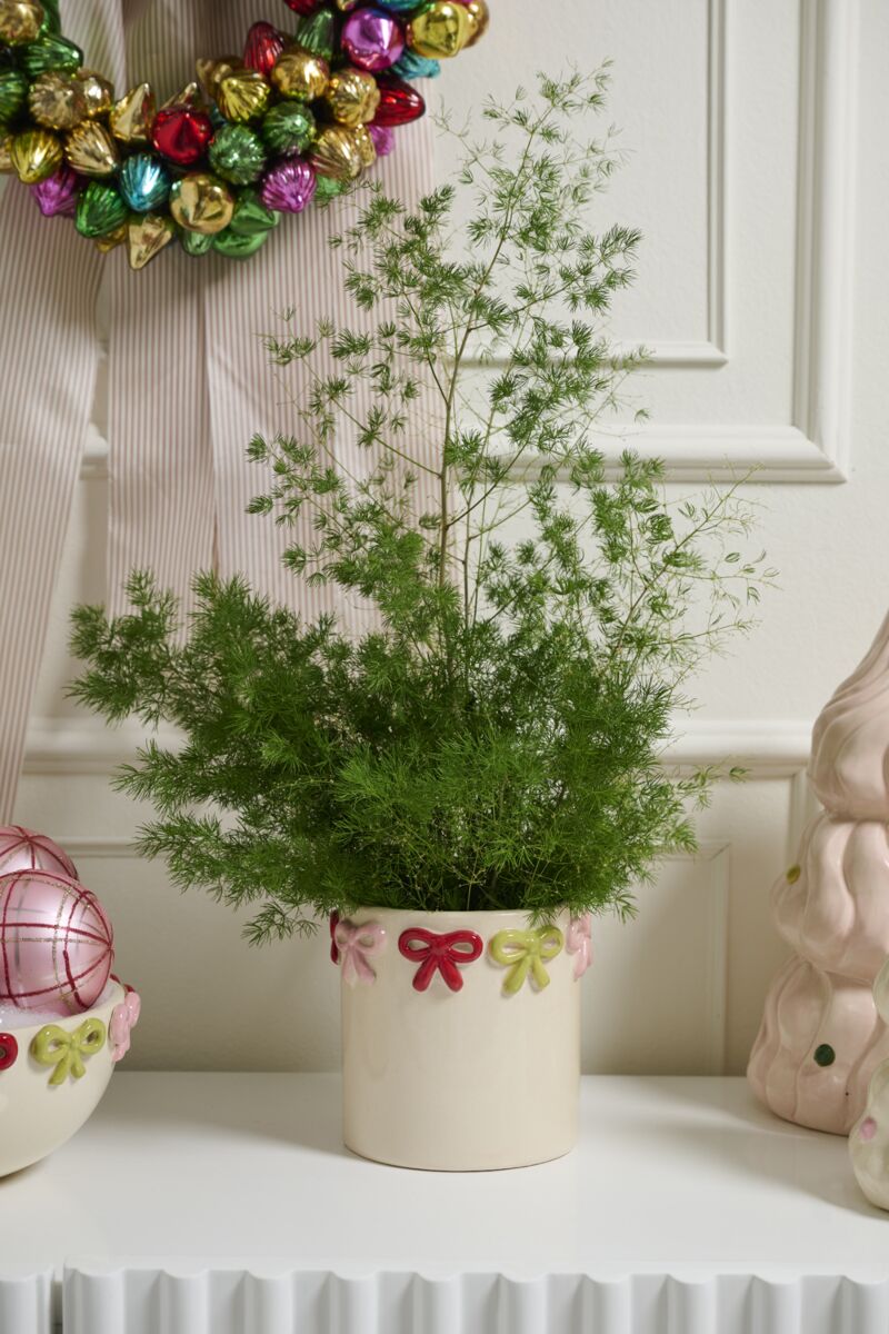 Ribbonelle Pot