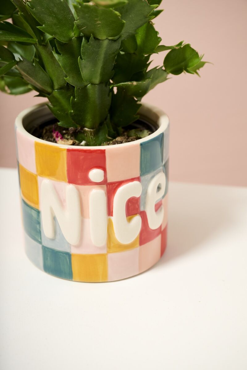 Ceramic planter close-up with 'Nice' lettering, filled with green plants