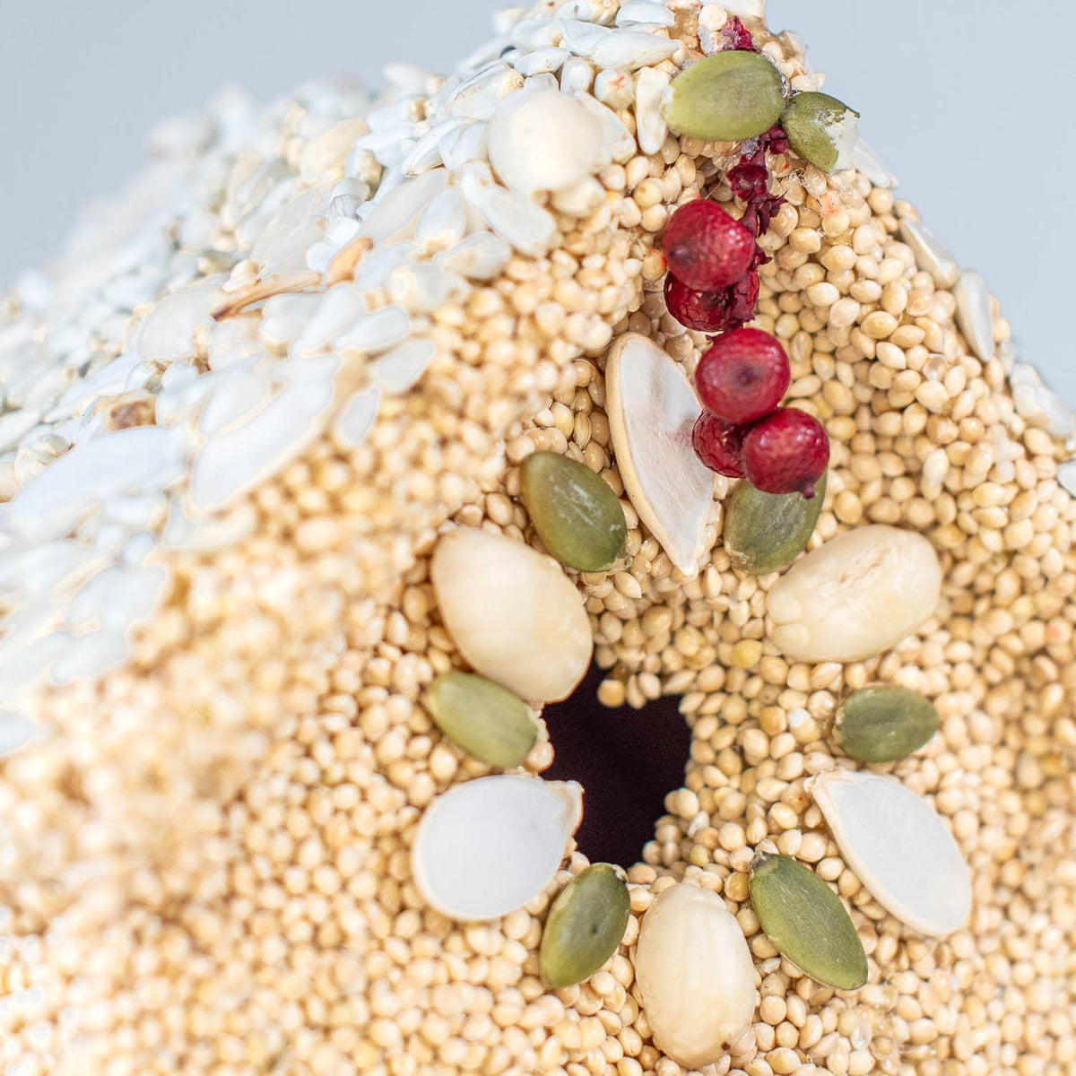Close-up seed birdie cottage with red berry clusters, green leaves, and white flower pieces