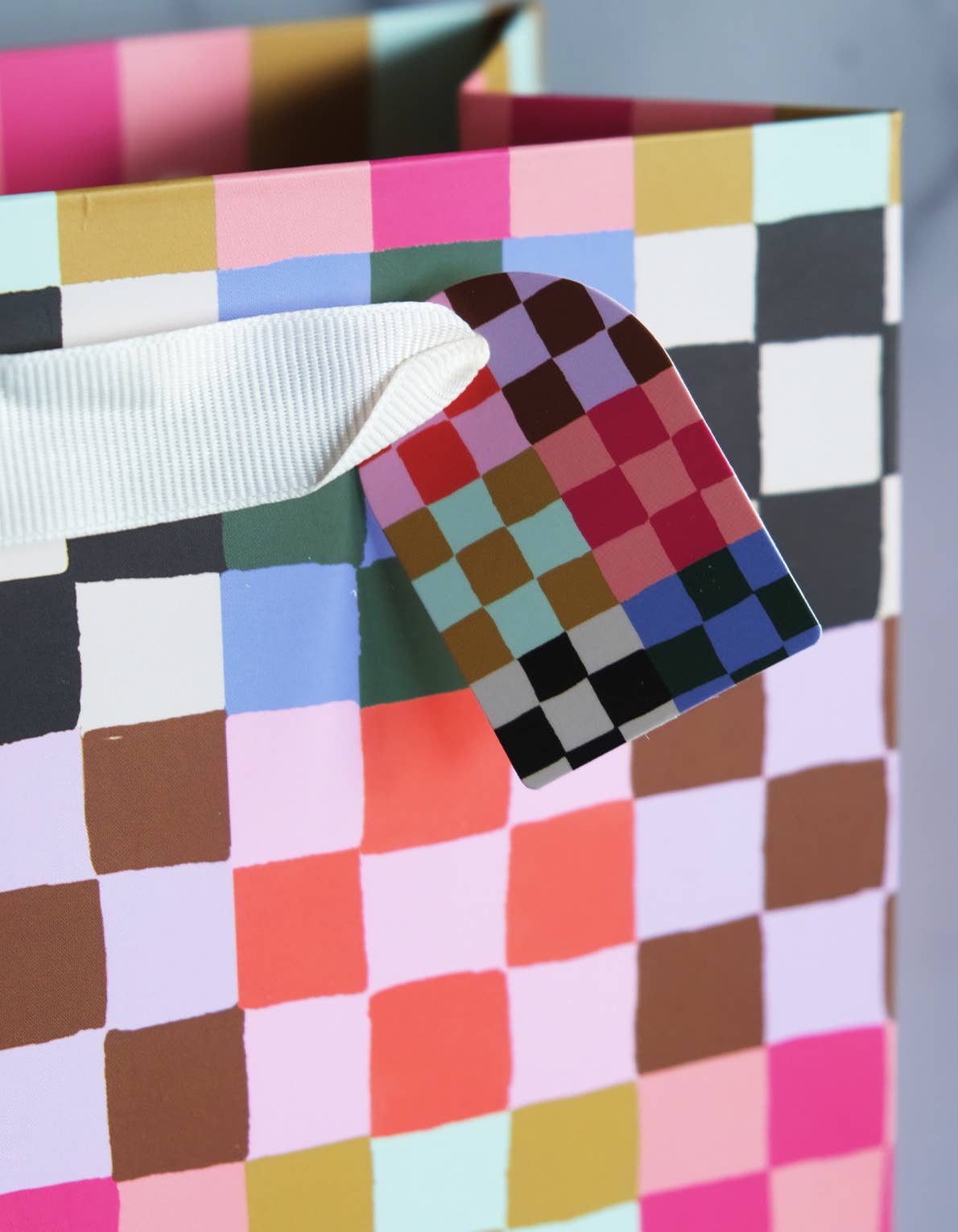 Rainbow Check Print Gift Bag