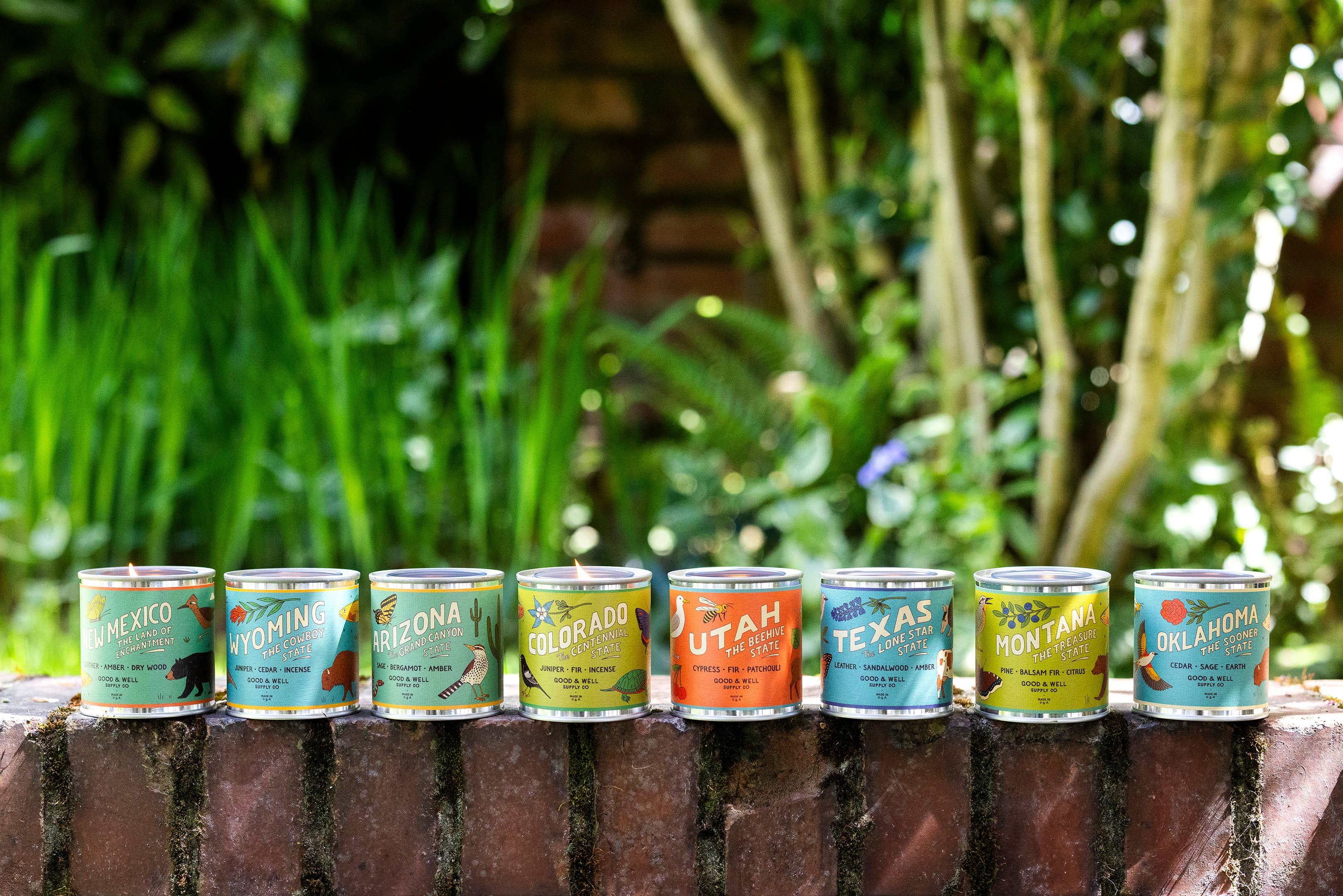 Texas State Soy Candle