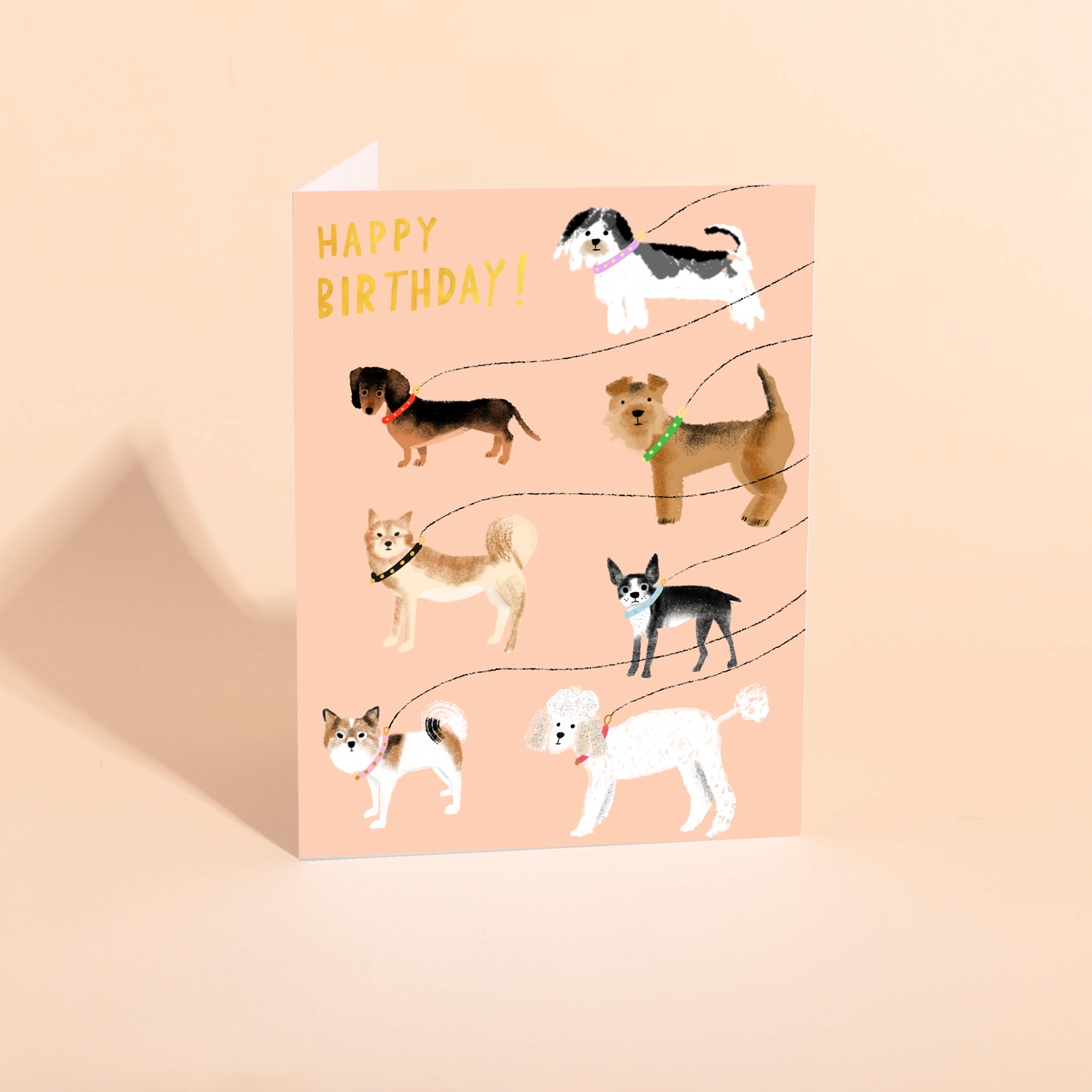 Out For a Walk Birthday Card