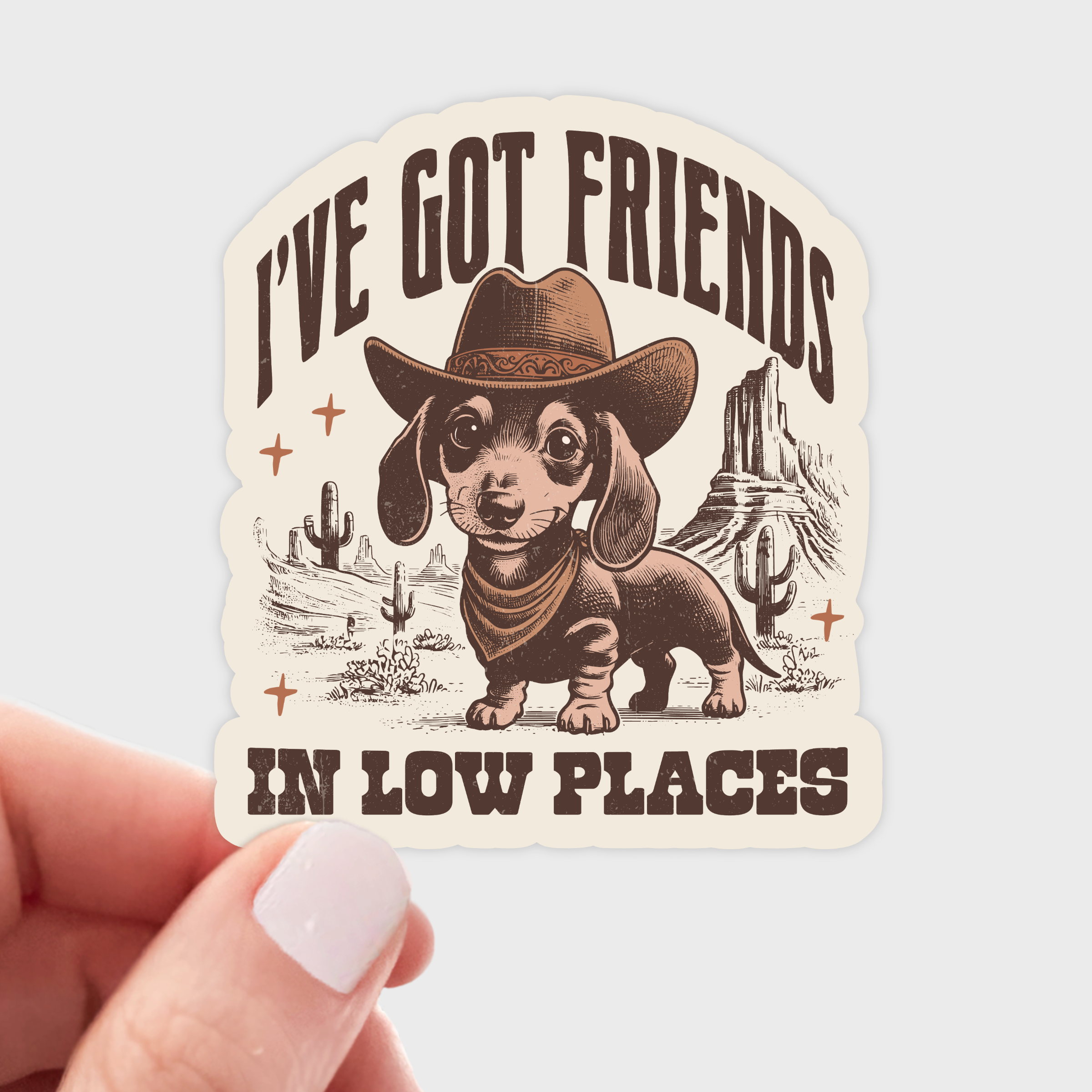 I've Got Friends In Low Places Sticker
