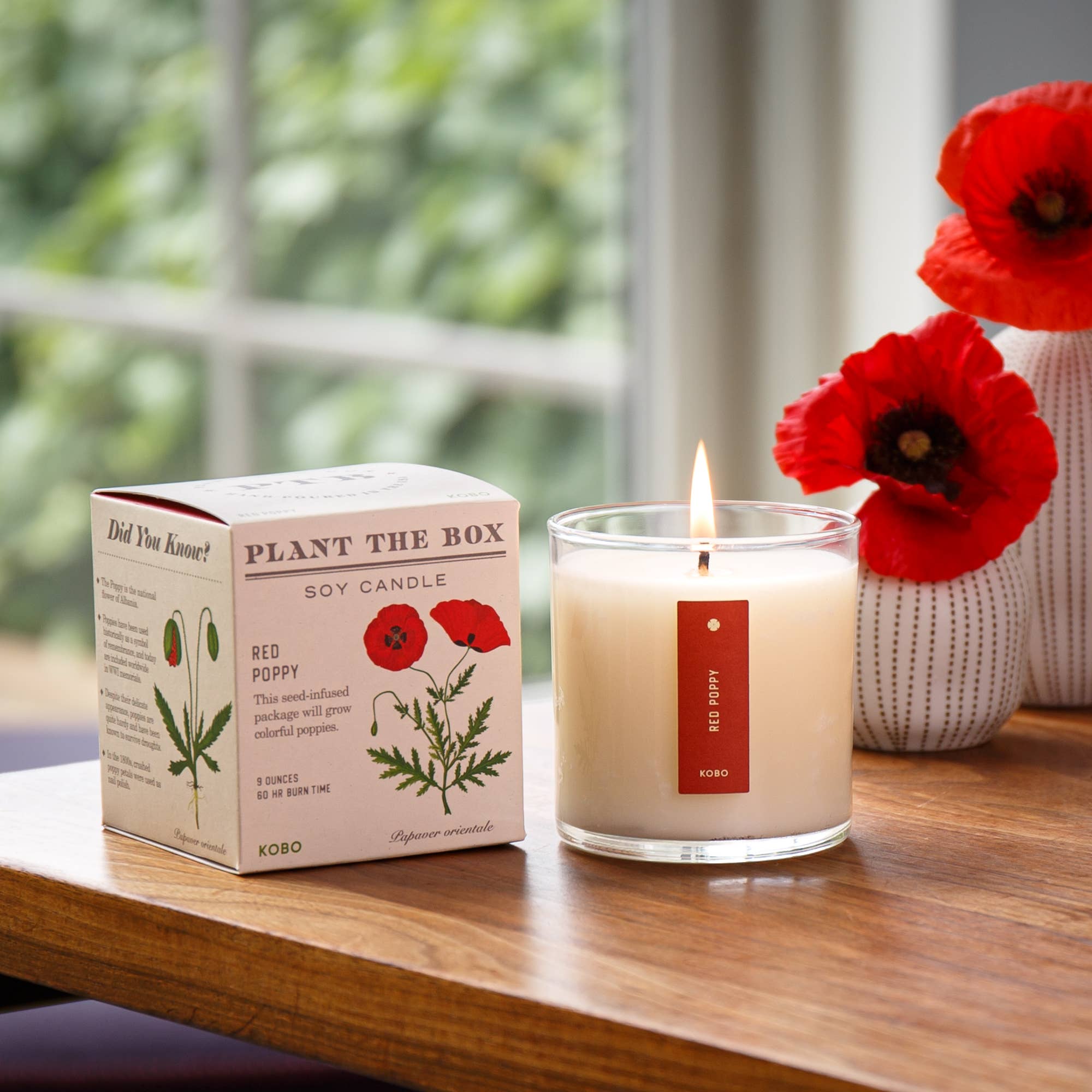 Red Poppy Plant the Box Candle