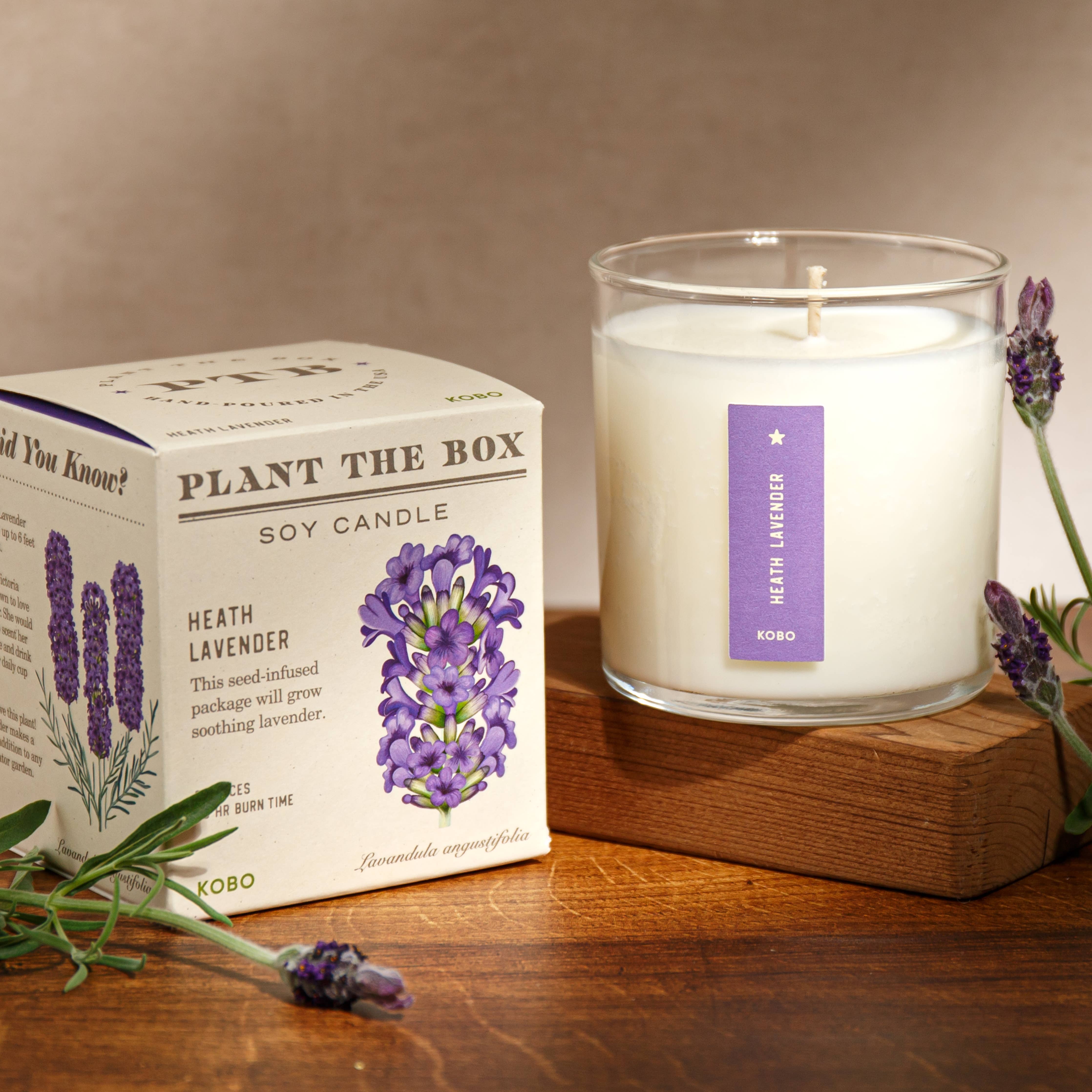 Heath Lavender Plant the Box Candle