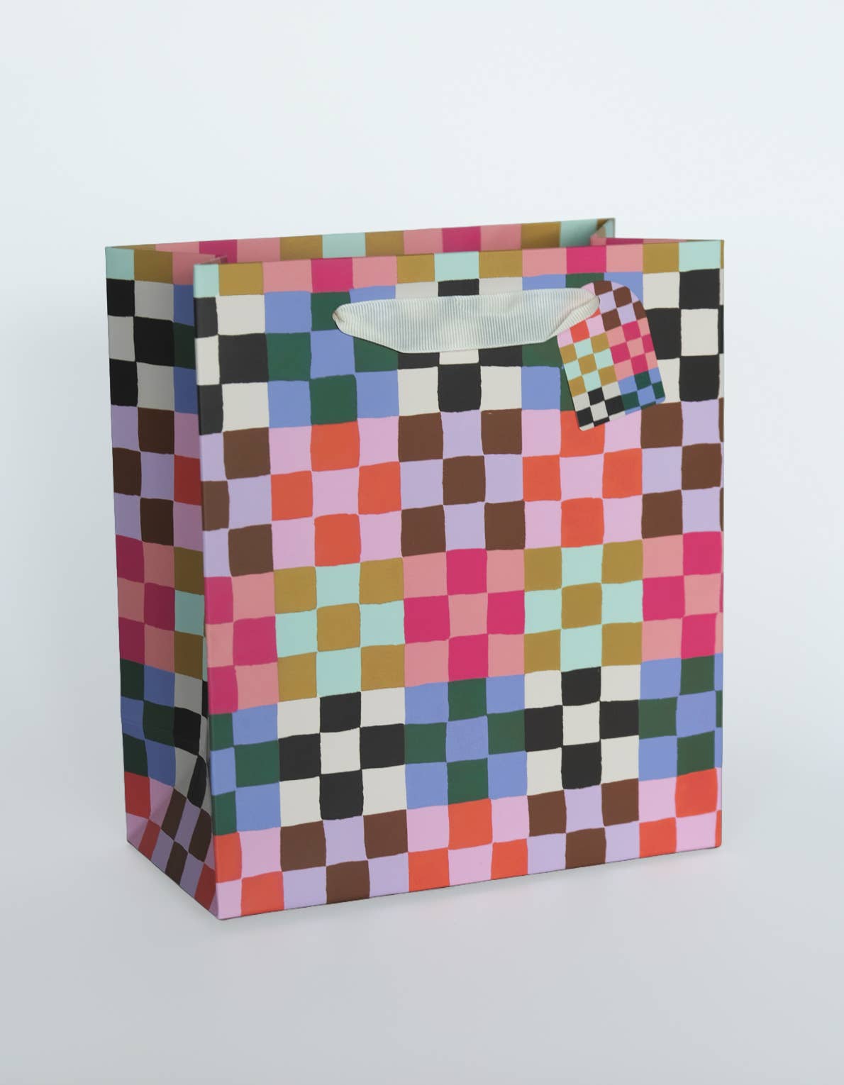 Rainbow Check Print Gift Bag