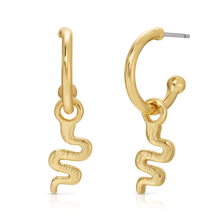 Oh So Charming Drop Hoops
