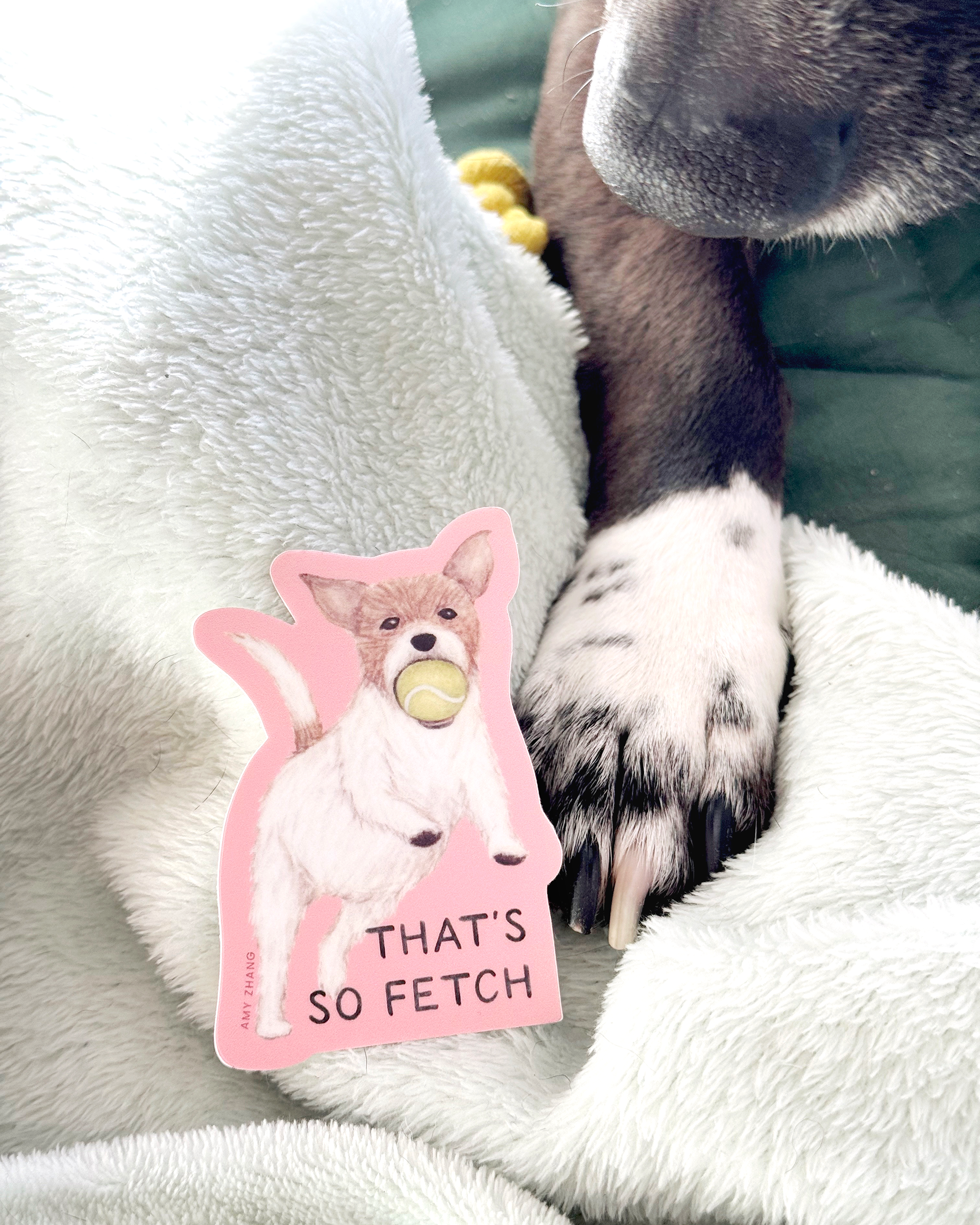That's So Fetch Dog Sticker