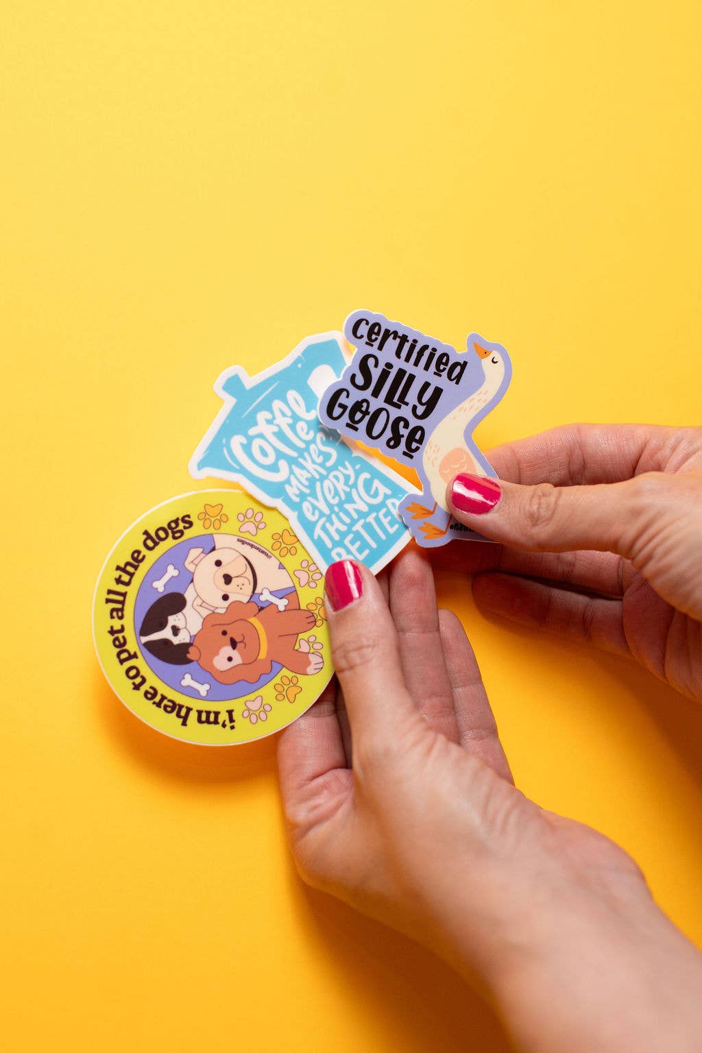 Certified Silly Goose Vinyl Sticker