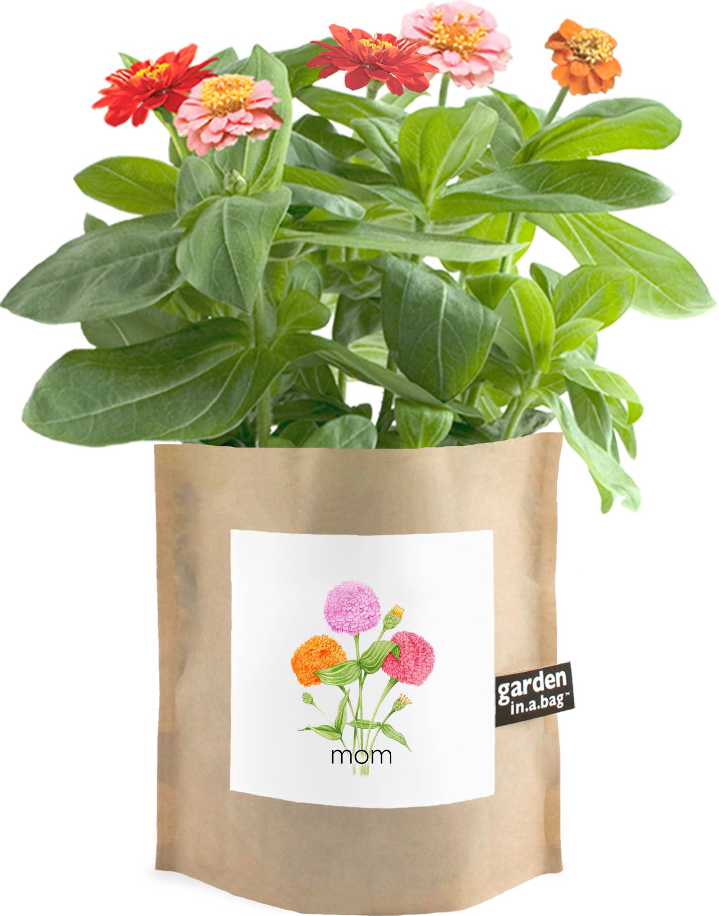 Mom Garden in a Bag